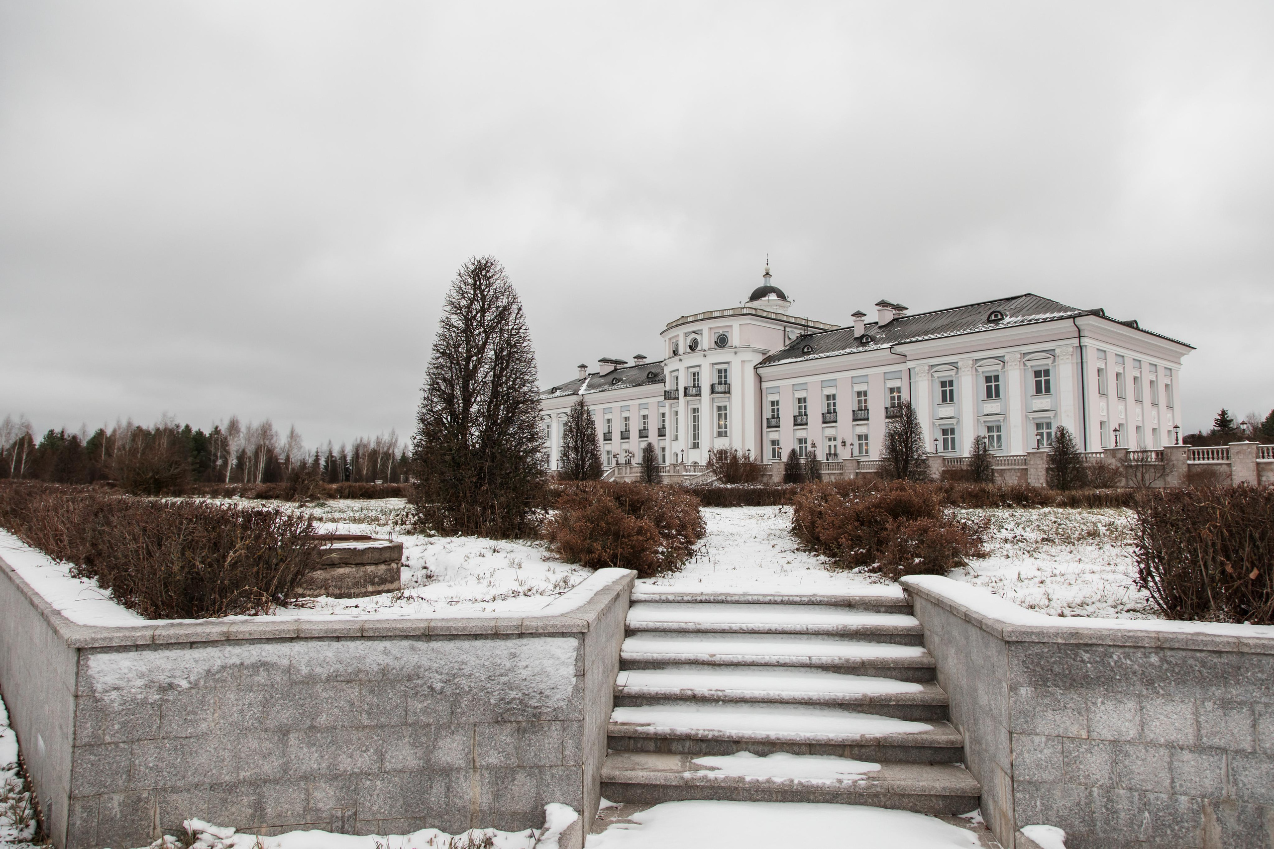 Екатерина и Владимир, Villa Michetti. Свадебный и репортажный фотограф (Москва, Королев и другие)