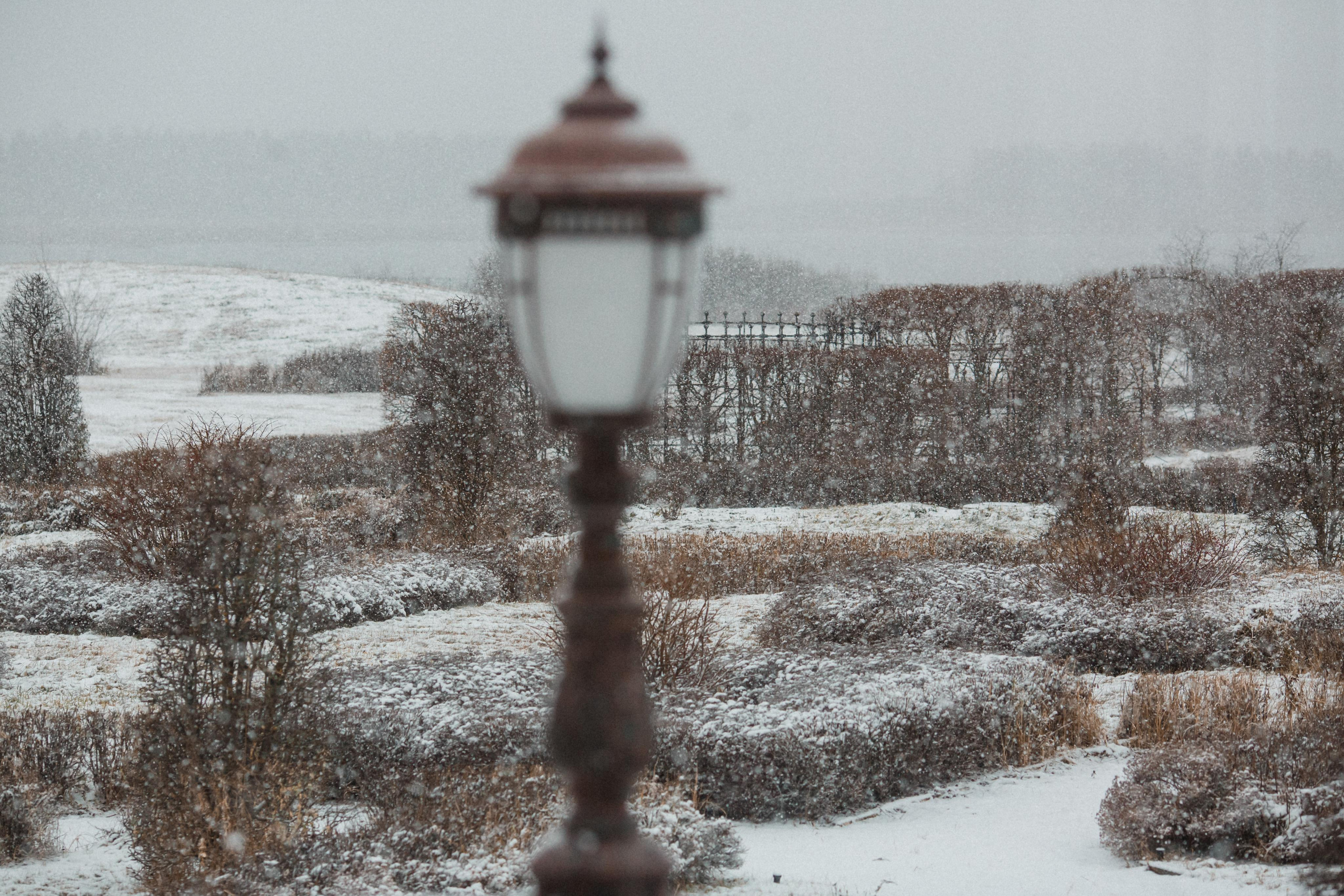 Екатерина и Владимир, Villa Michetti. Свадебный и репортажный фотограф (Москва, Королев и другие)