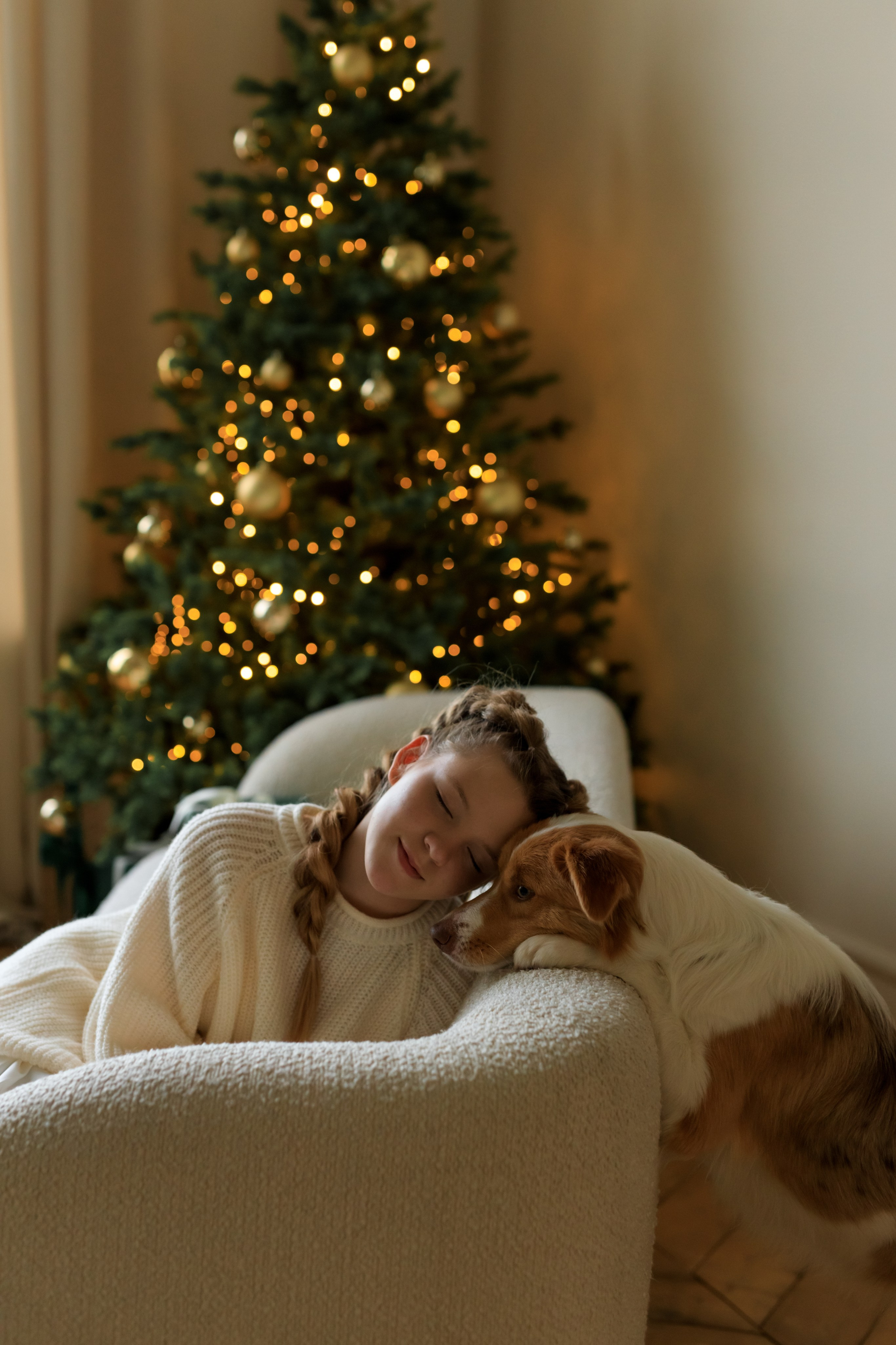 Девочка и собака (студийная). Семейный и детский фотограф в Краснодаре Элона Литвинова