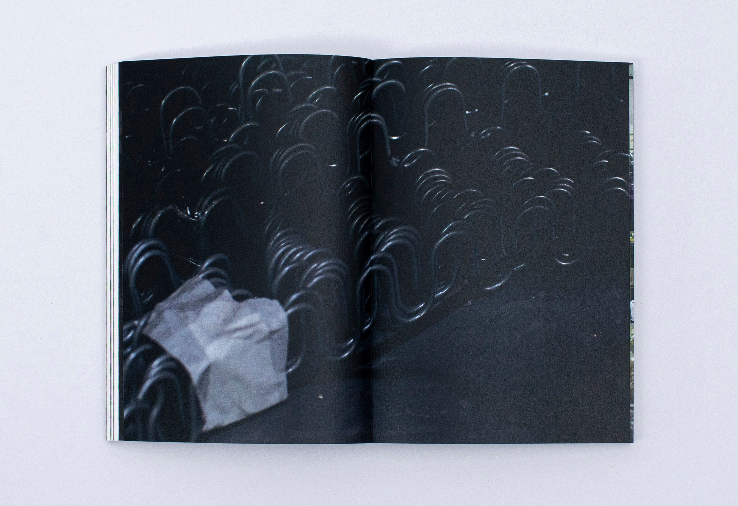 Книга. Фотограф в Москве Алейникова Евгения