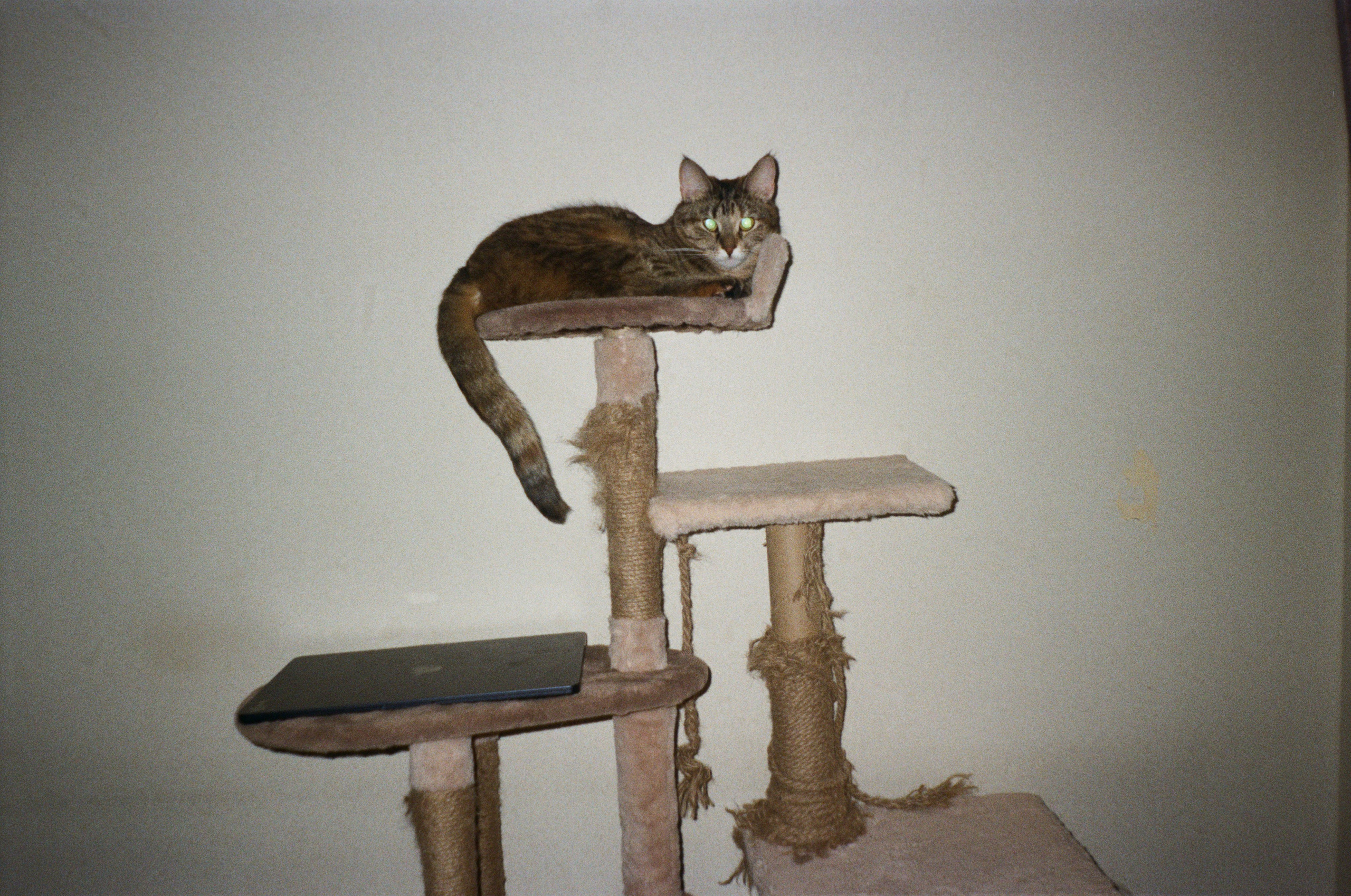 Плёнка. Человек в Шляпе