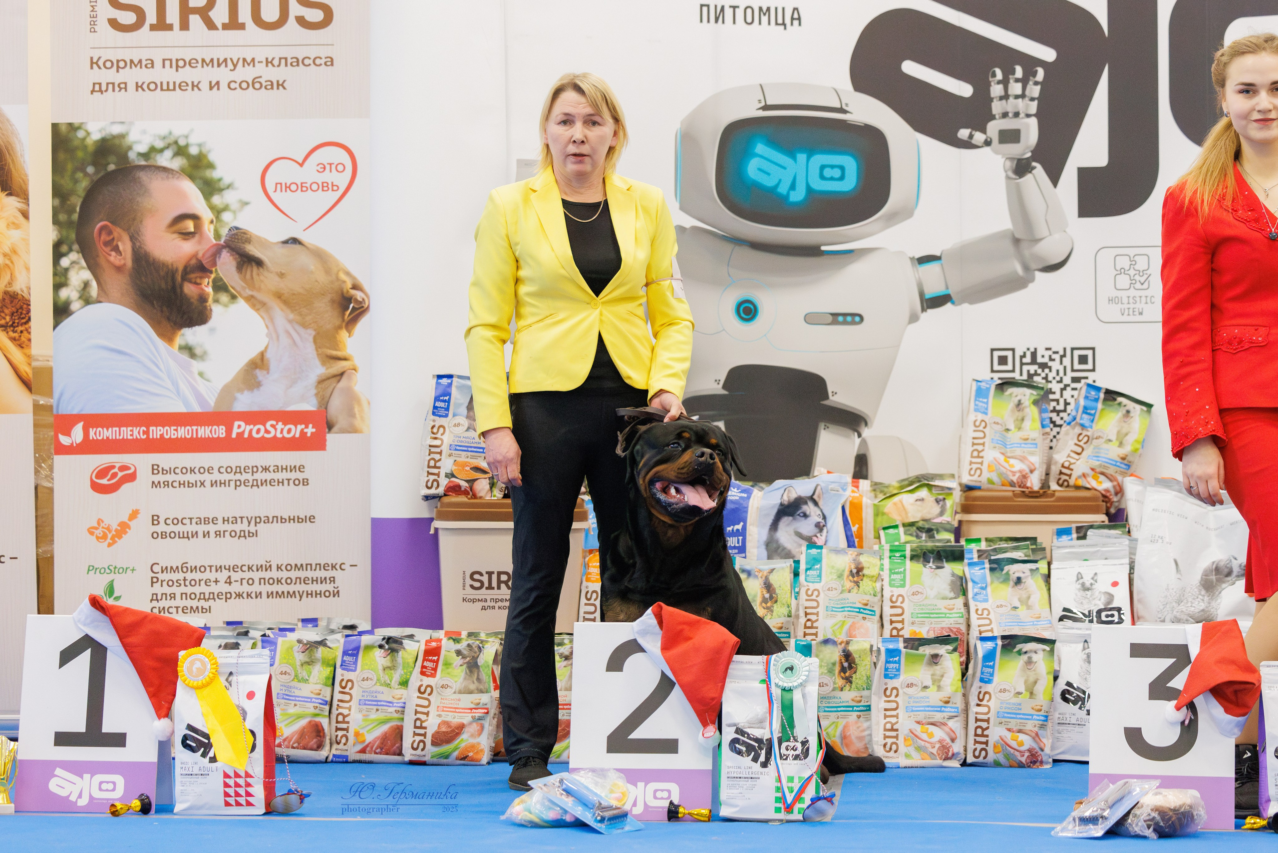Питер ротвейлеры 18.01,Крокус 19.01.2025. Фотограф-анималист Юлия Германика