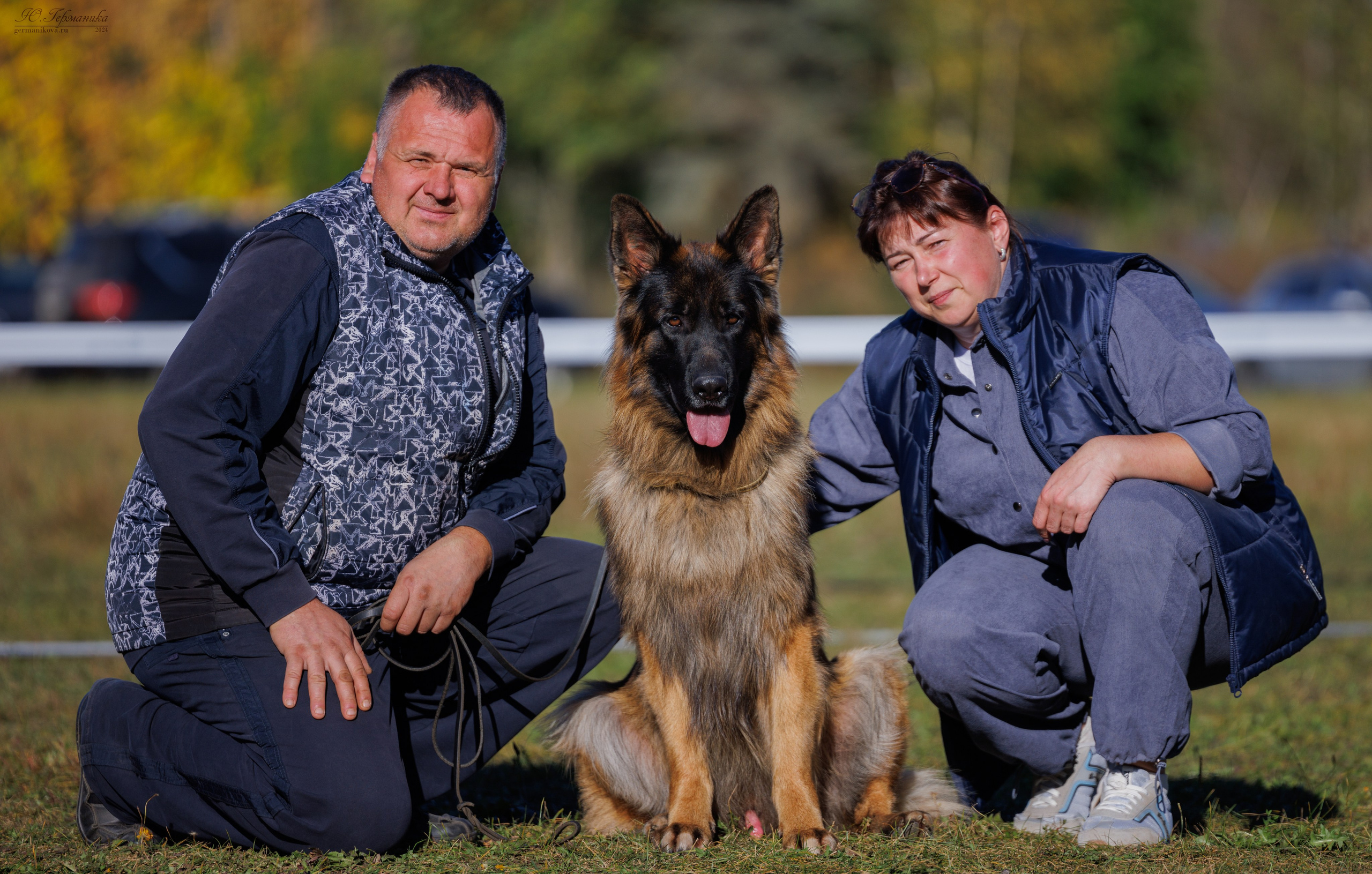 Тверь немецкие овчарки 22.09.2024. Фотограф-анималист Юлия Германика