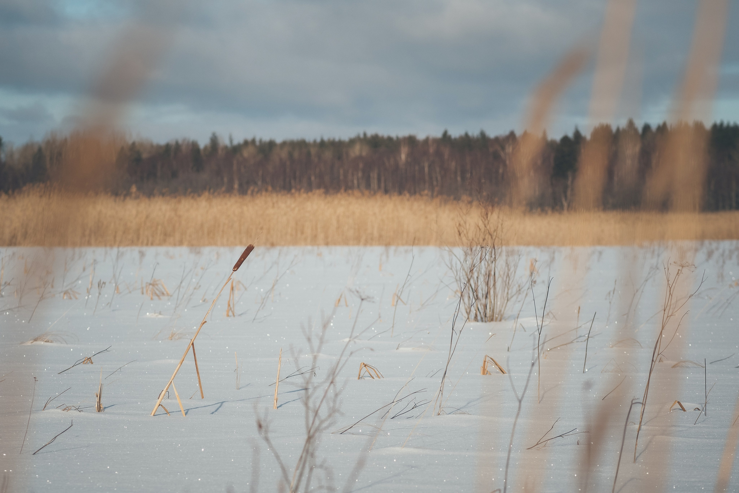 Раковые озера. Свадебный фотограф Копков Геннадий