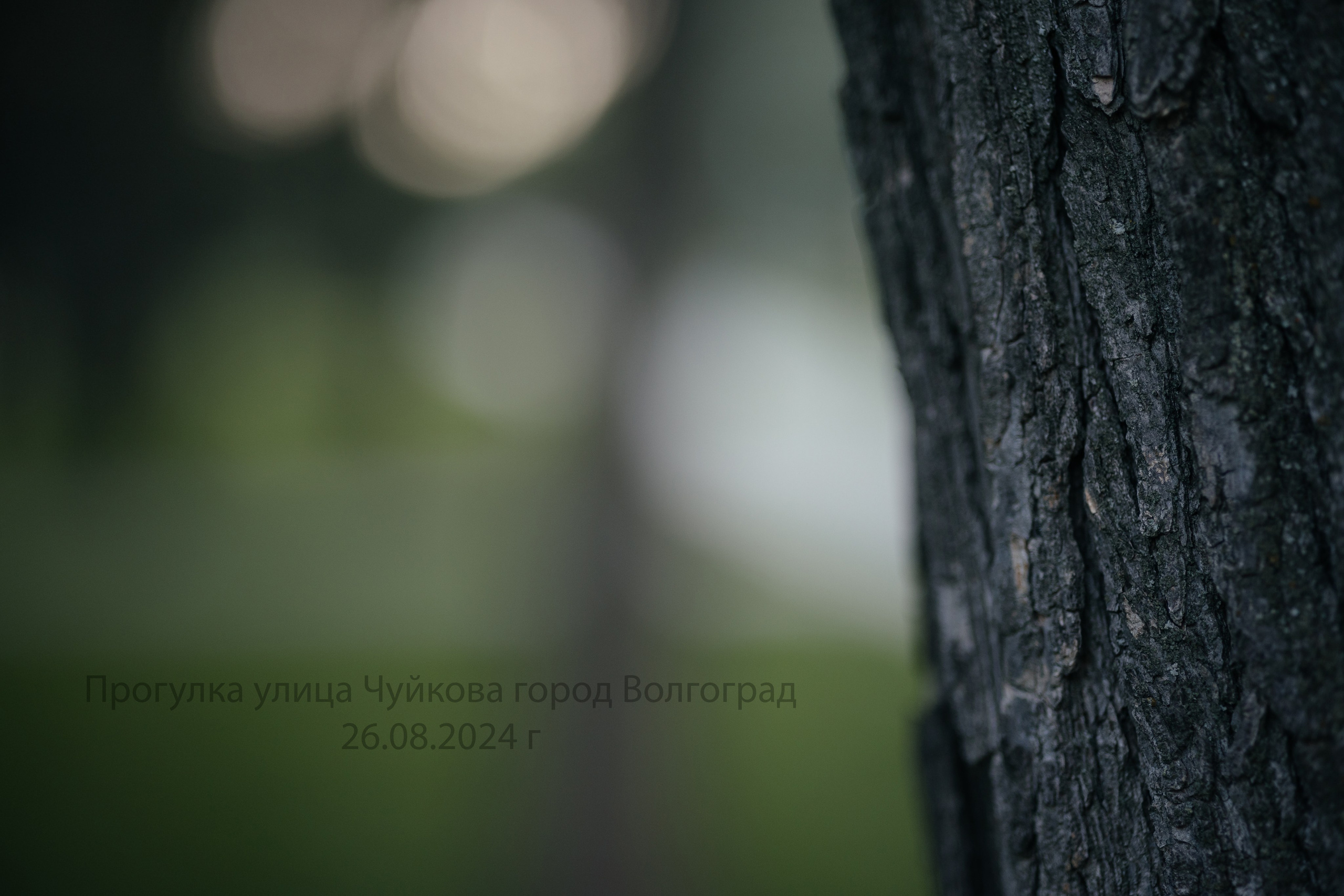 Прогулка ул. Чуйкова. Фотограф Крохин Олег