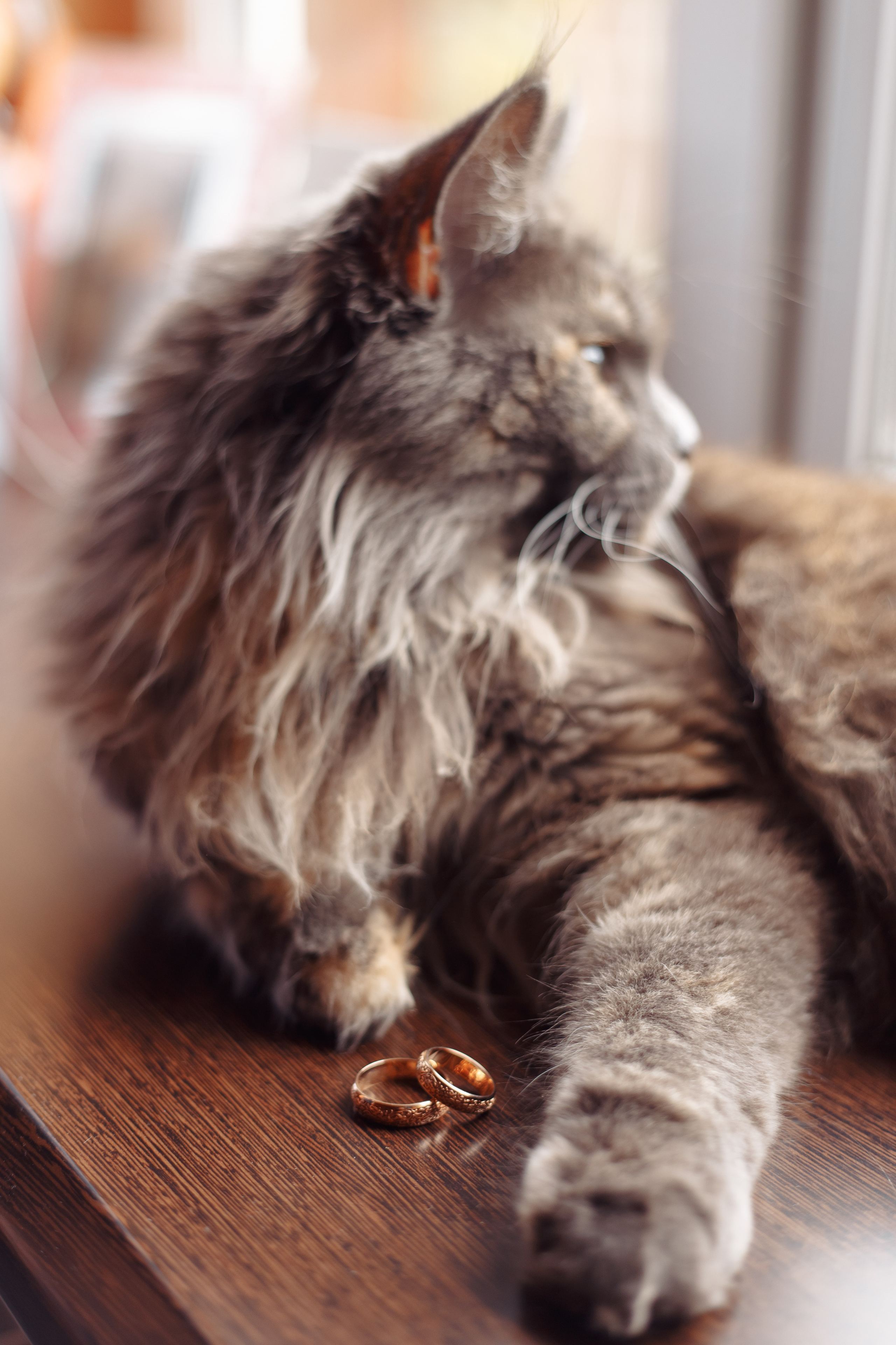 Свадьба Екатерины и Дмитрия. Фотограф во Владимире Татьяна Бабикова