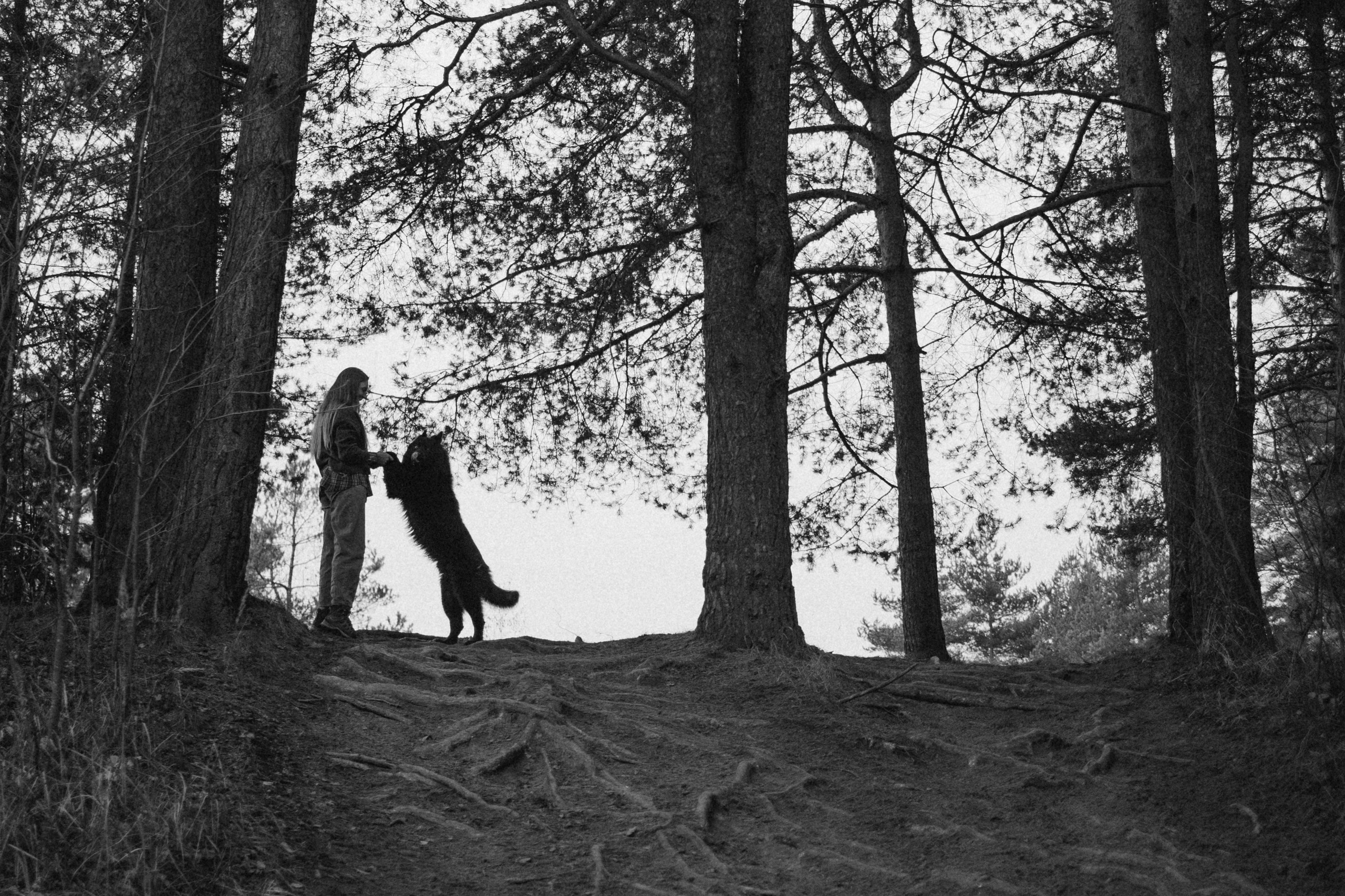 Лора и Джанго. Фотограф — Анималист | Санкт-Петербург