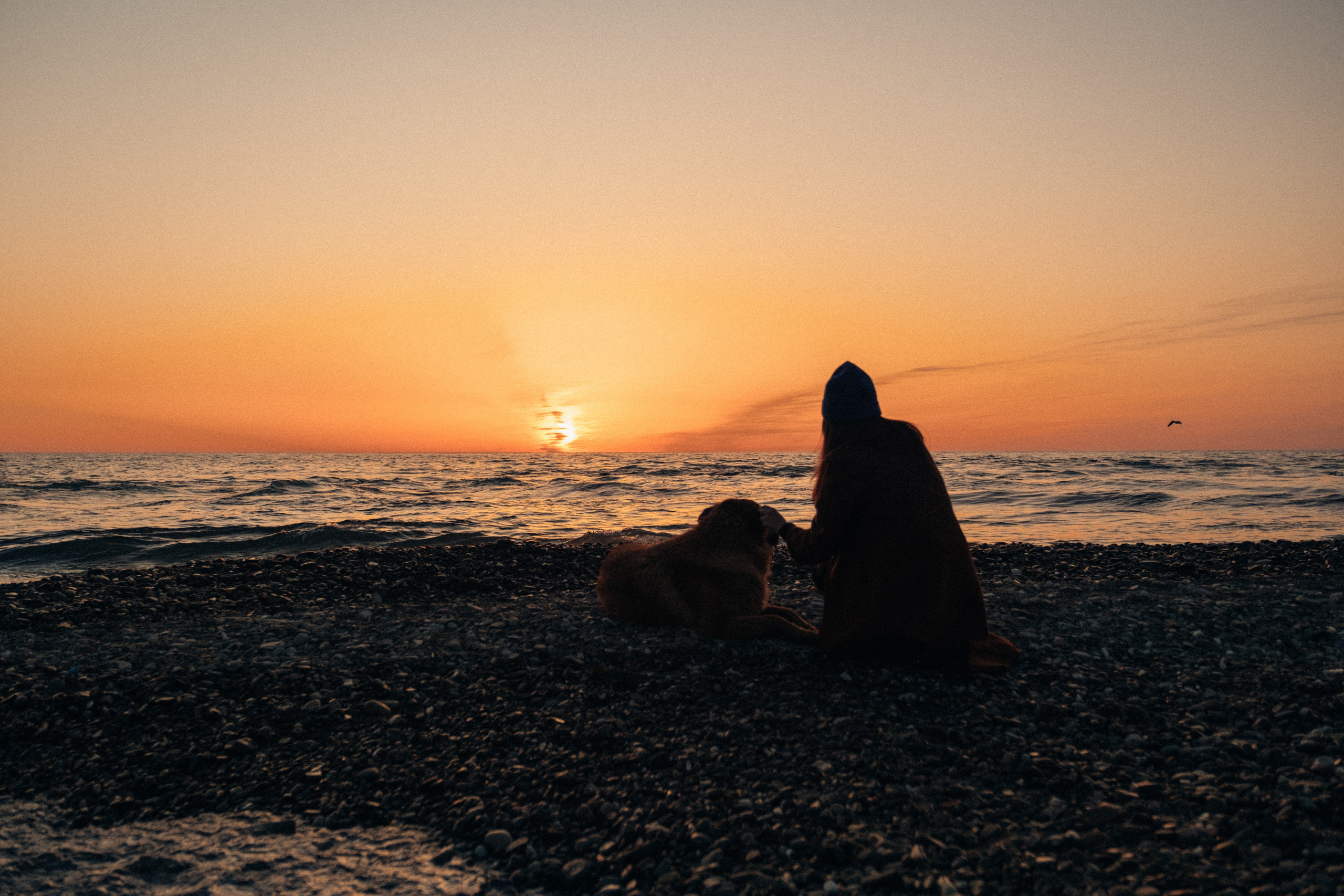 Миро. Свадебный Видеограф Фотограф в Сочи