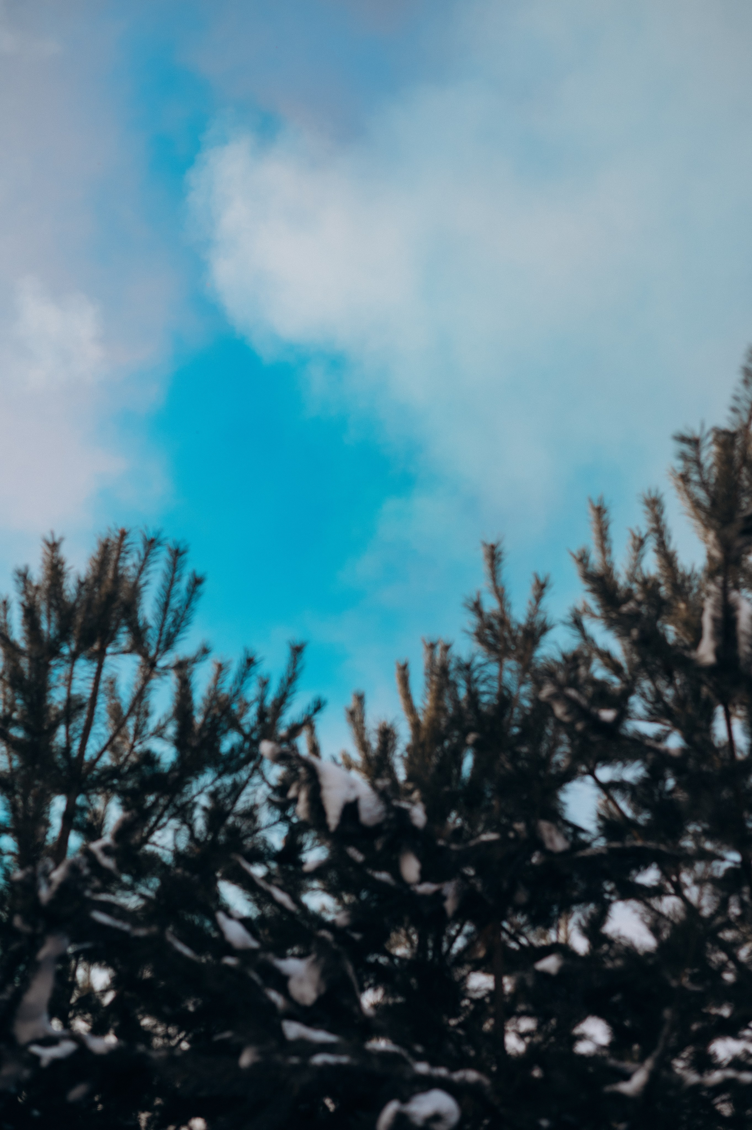 Гендер пати. Фотограф в Иркутске