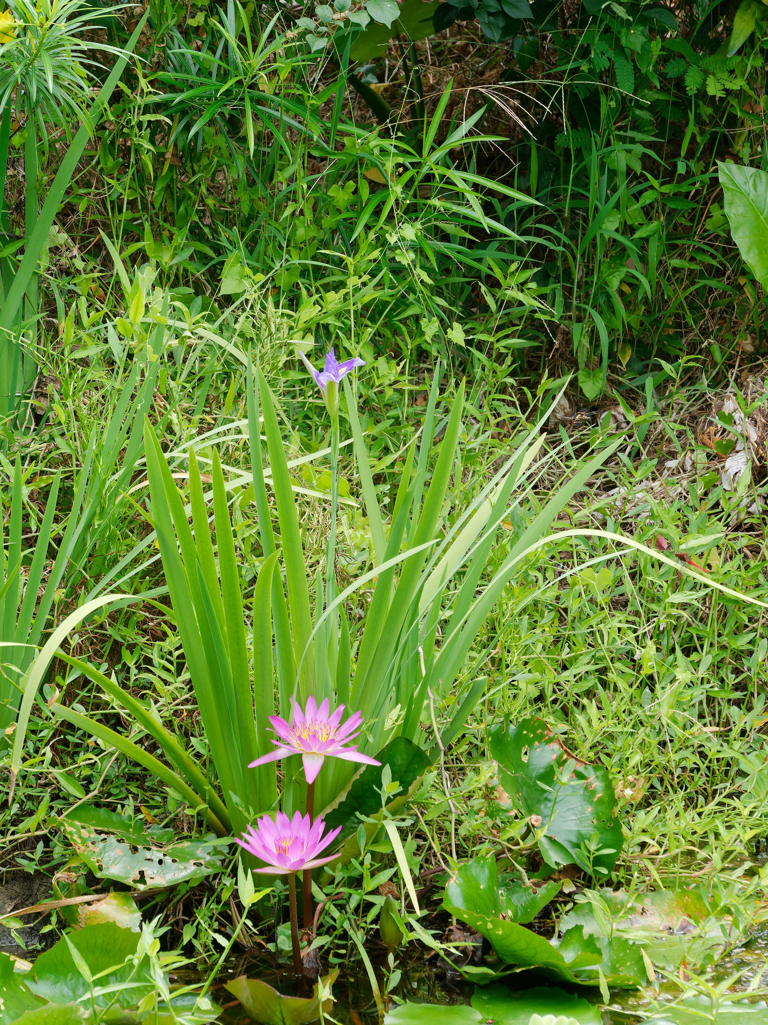 Хайнань 2026, отель «Stony Brook Villa Jianguo Resort Sanya 4*». Фотопрогулки по Миру
