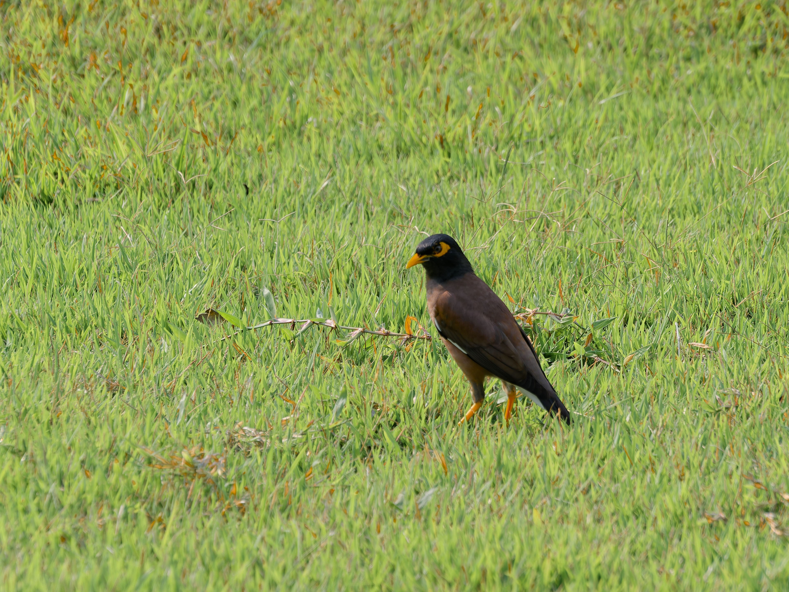 Хайнань 2026, первые впечатления. Фотопрогулки по Миру