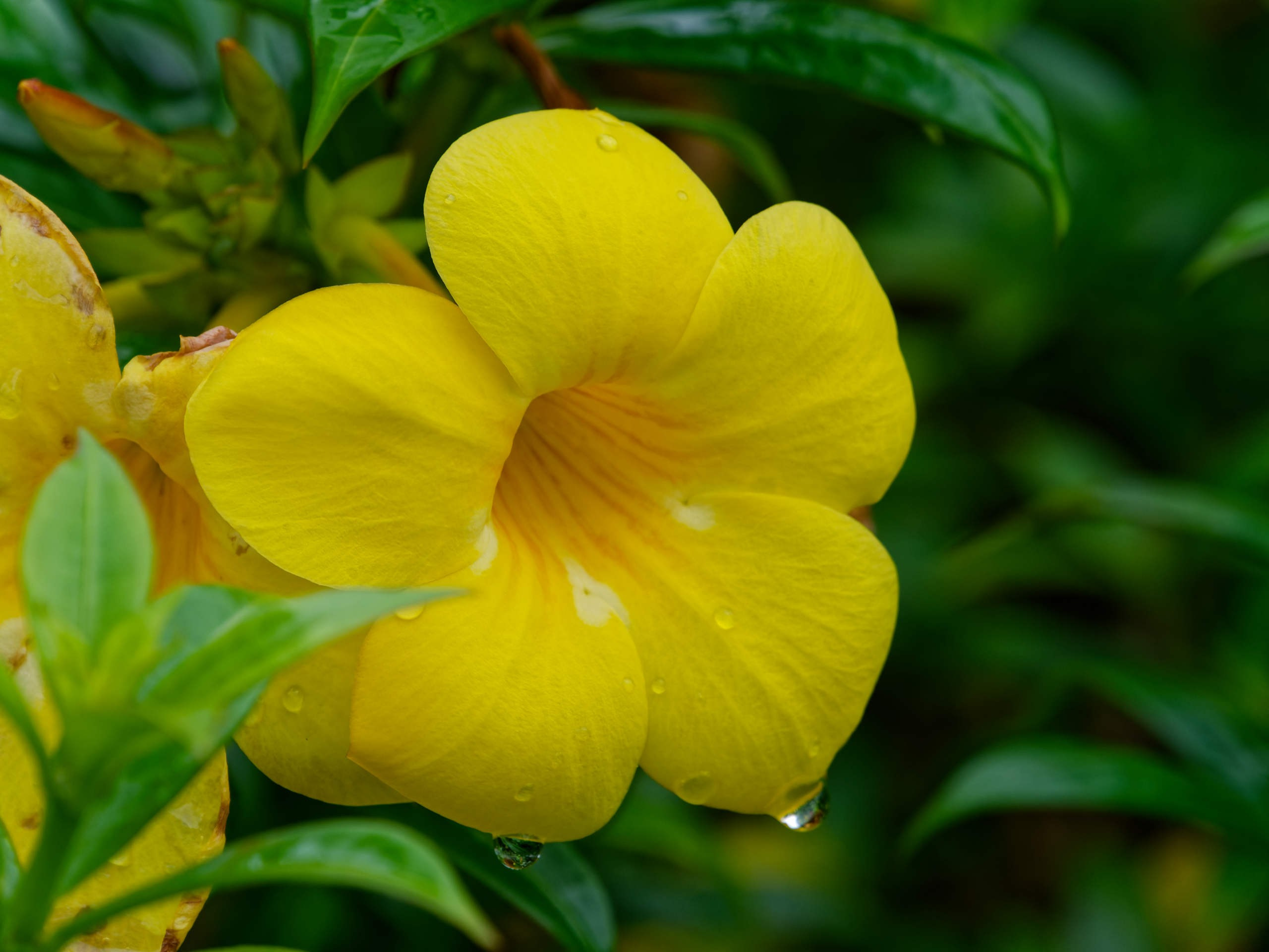 Нячанг 2025 (4). Избранные фотографии