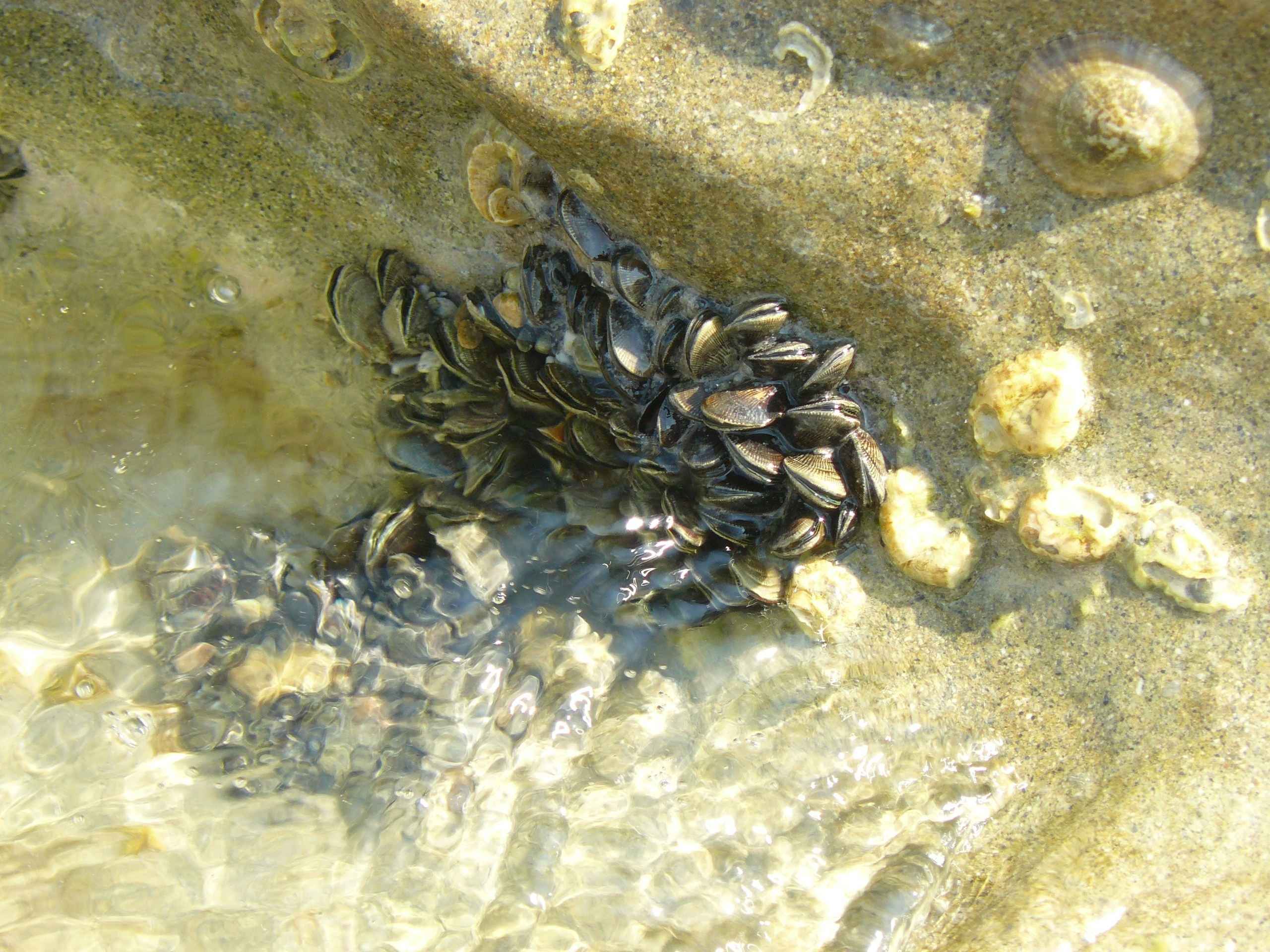 Алания 2015 отель, город. Фотопрогулки по Миру