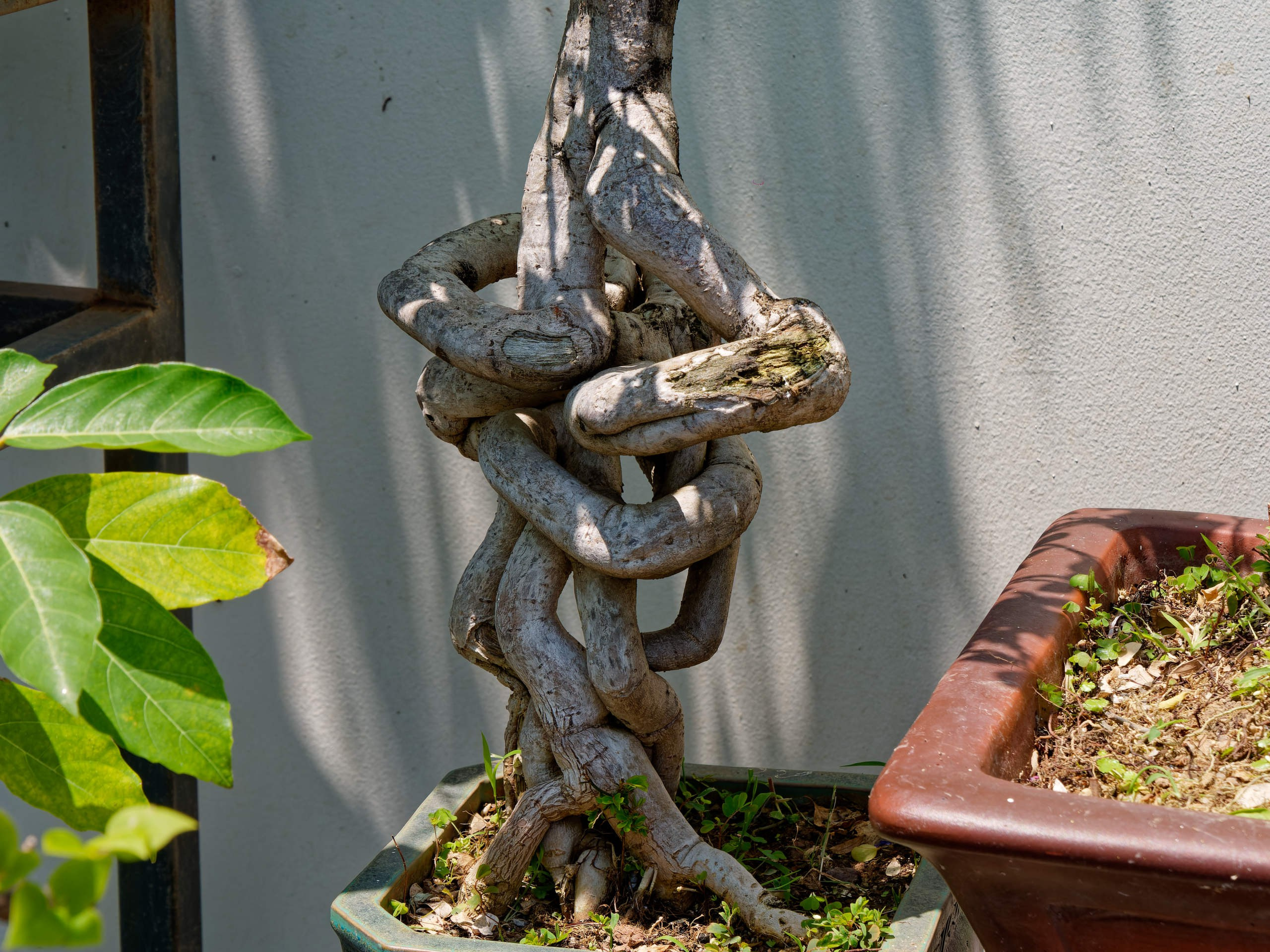 Нячанг 2025 (2). Избранные фотографии