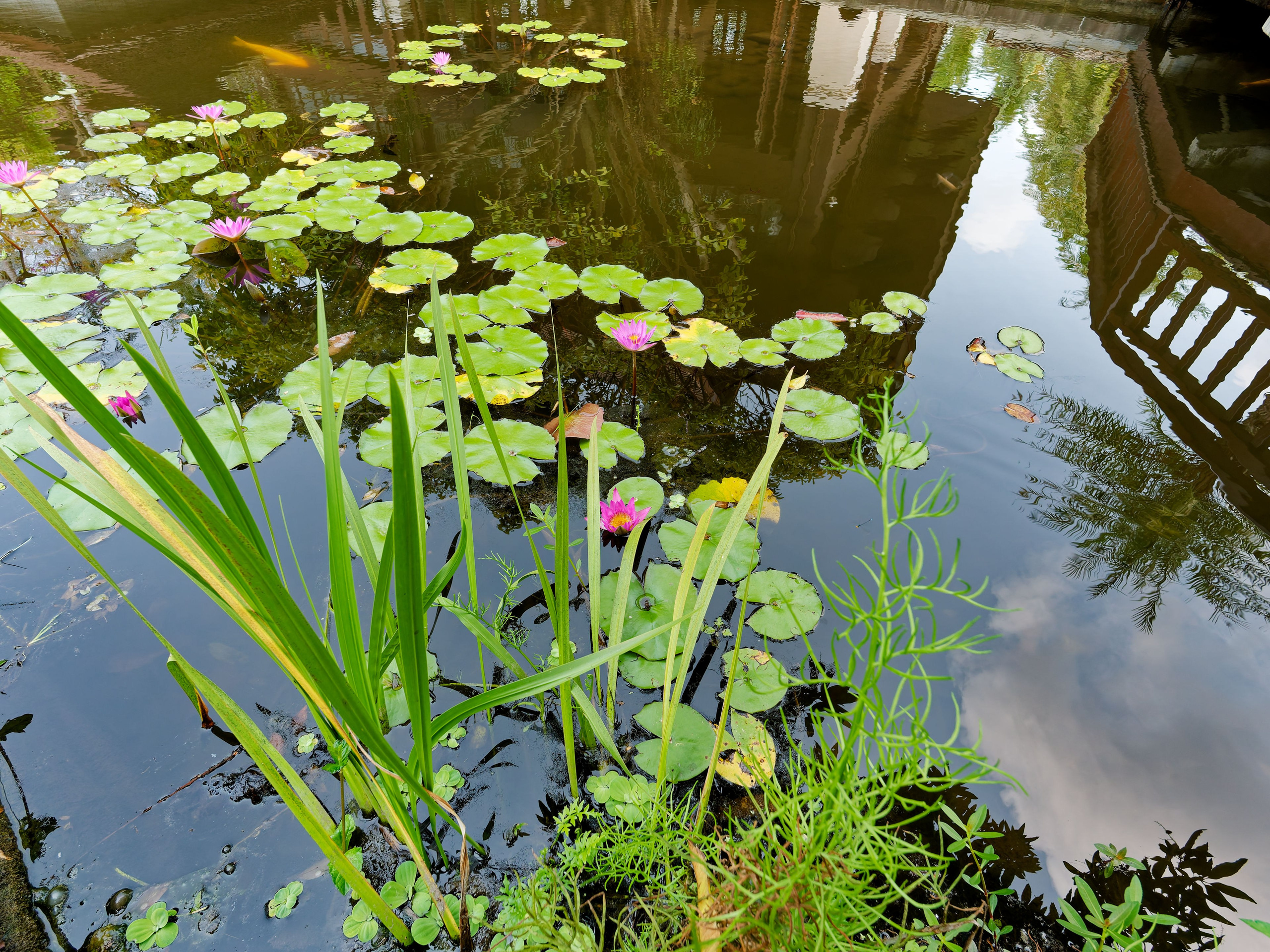 Хайнань 2026, отель «Stony Brook Villa Jianguo Resort Sanya 4*». Фотопрогулки по Миру