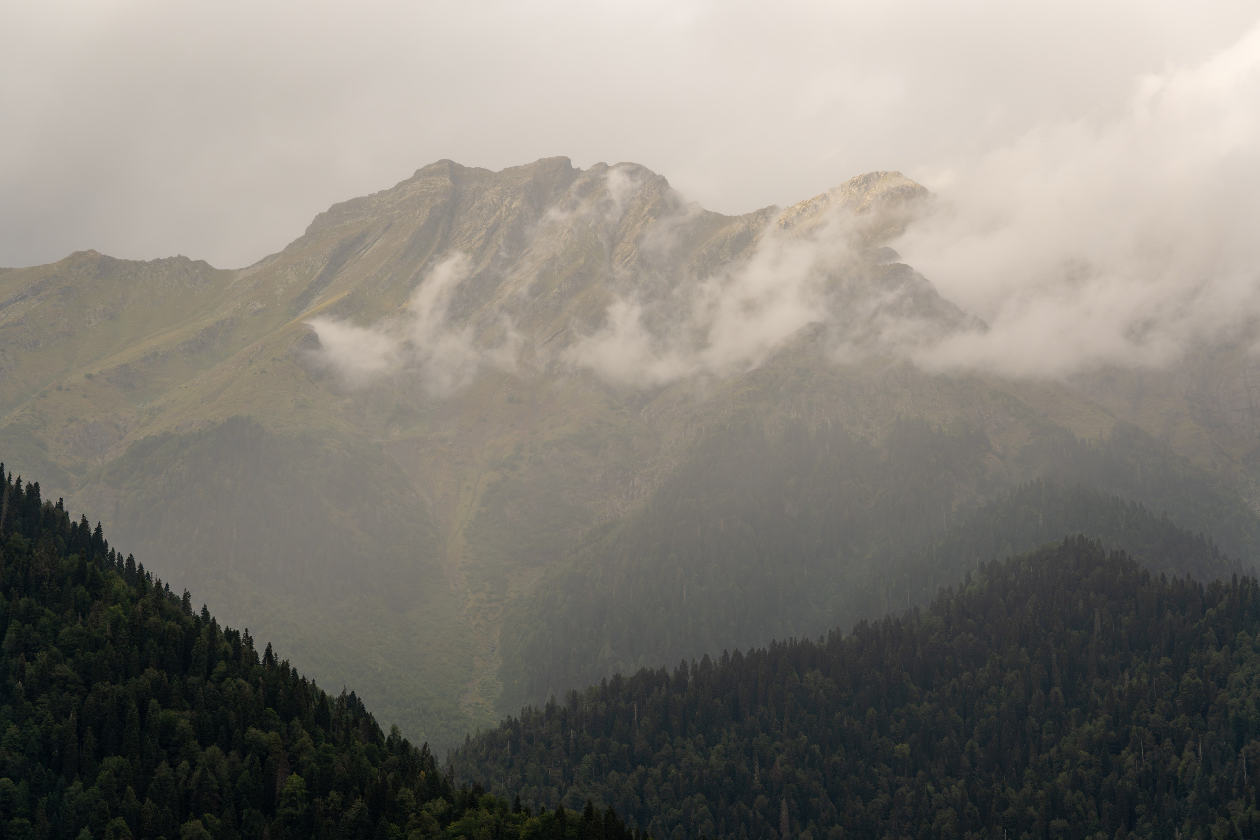 MICE мероприятие — тур по Абхазии. Репортажный фотограф в Красной Поляне и Сочи Павлюченко Екатерина