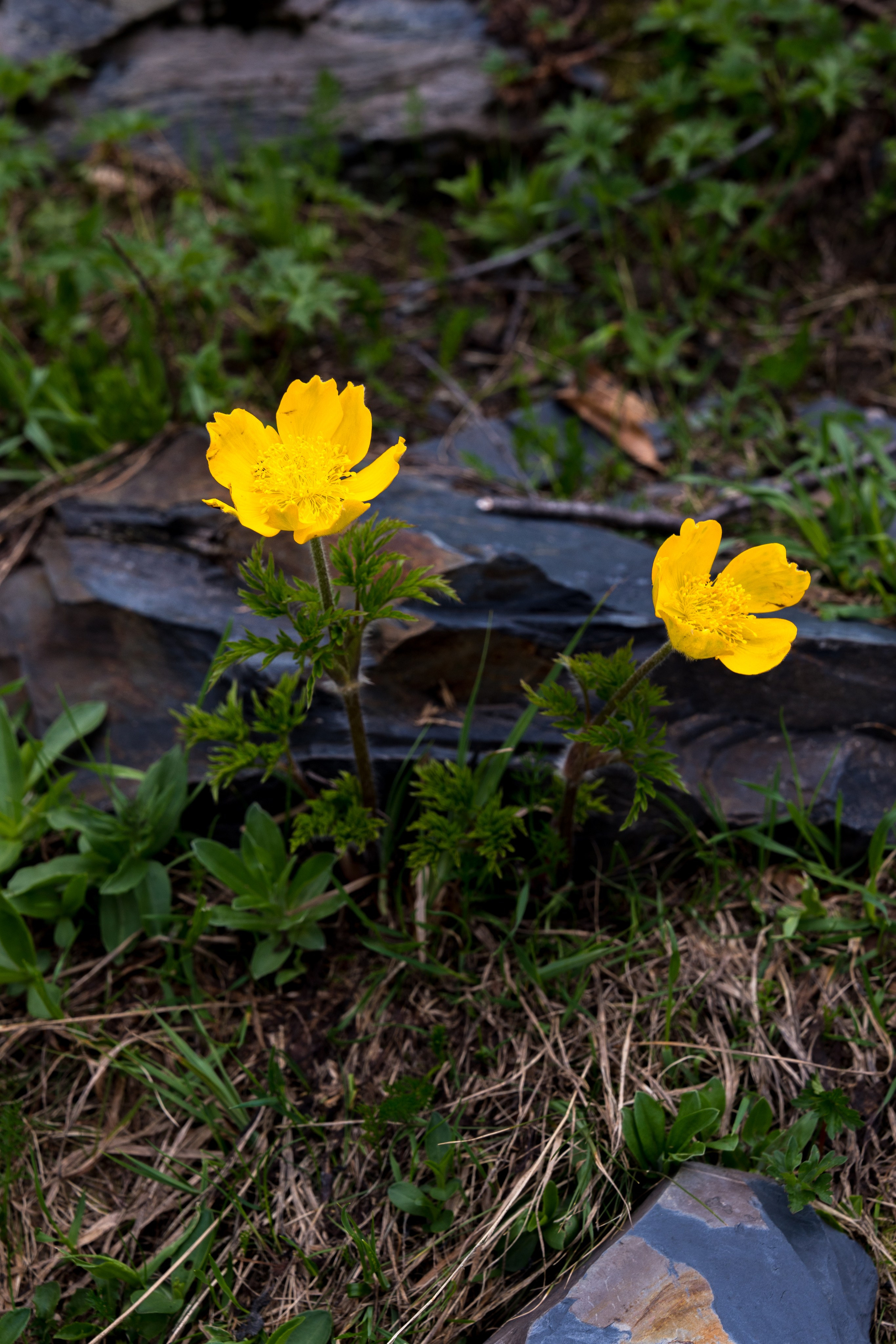 MICE мероприятие для компании «Доставка морем»: хайкинг к Ачипсинским водопадам. Репортажный фотограф в Красной Поляне и Сочи Павлюченко Екатерина