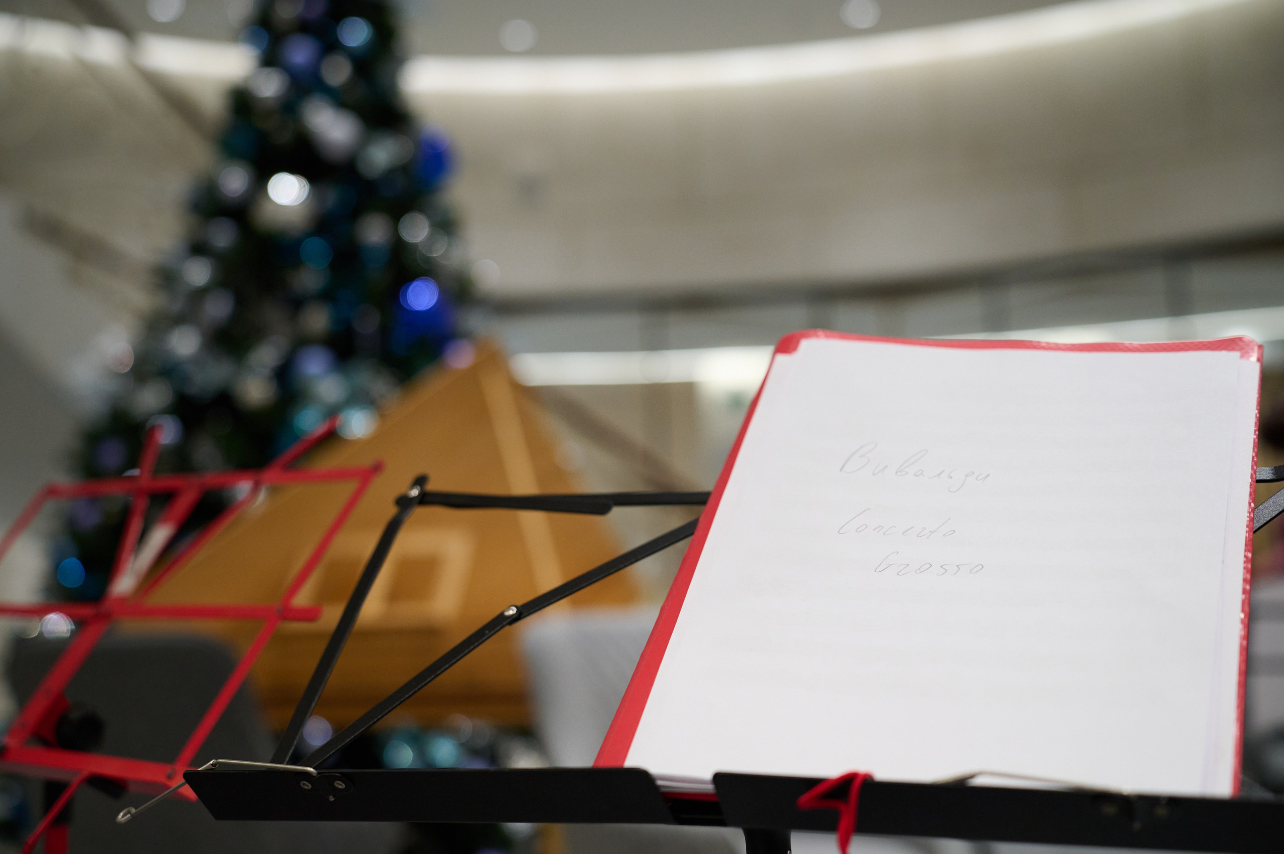 Репортажная съёмка. Фотограф в Москве