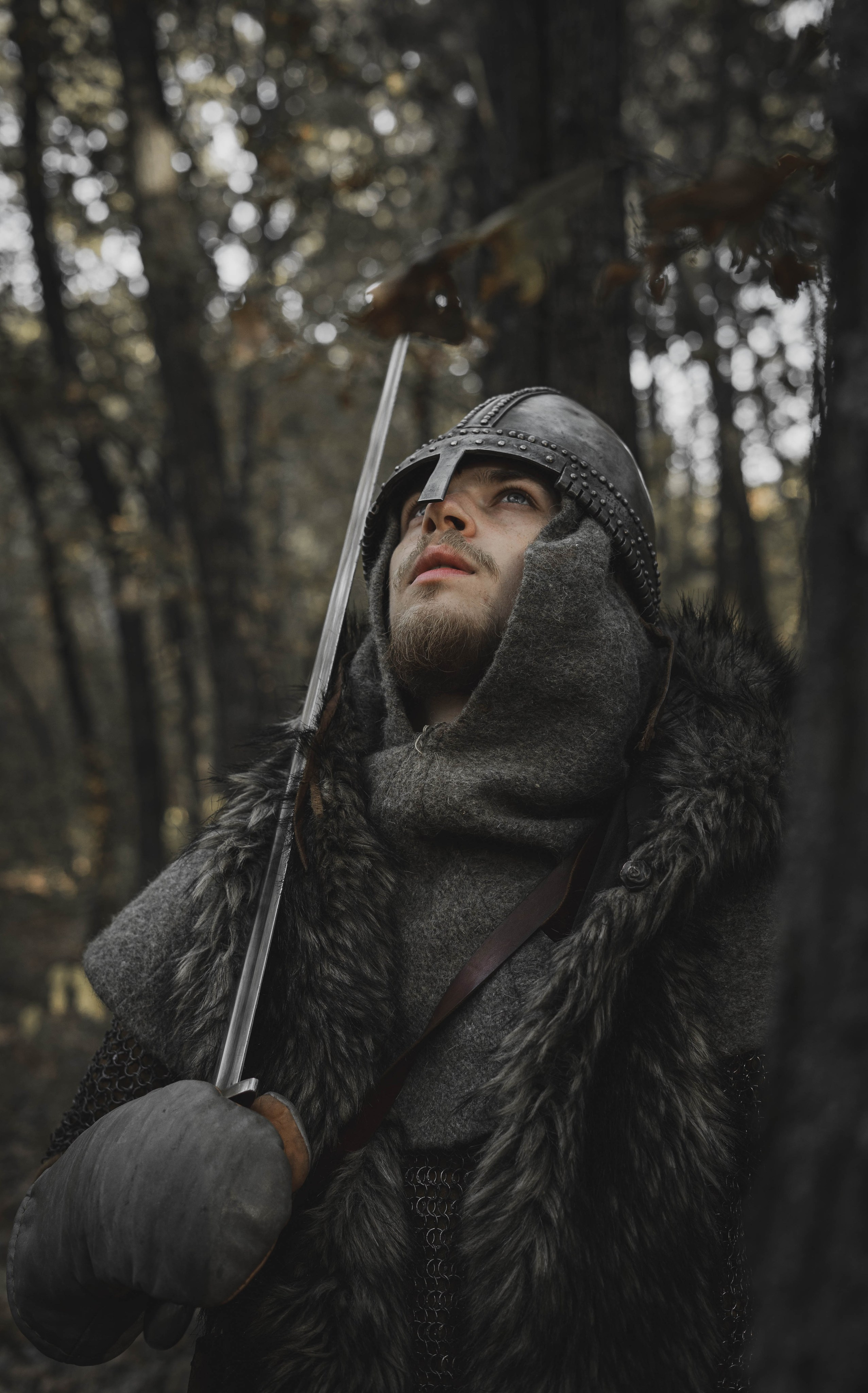 Викинг. Ab extra