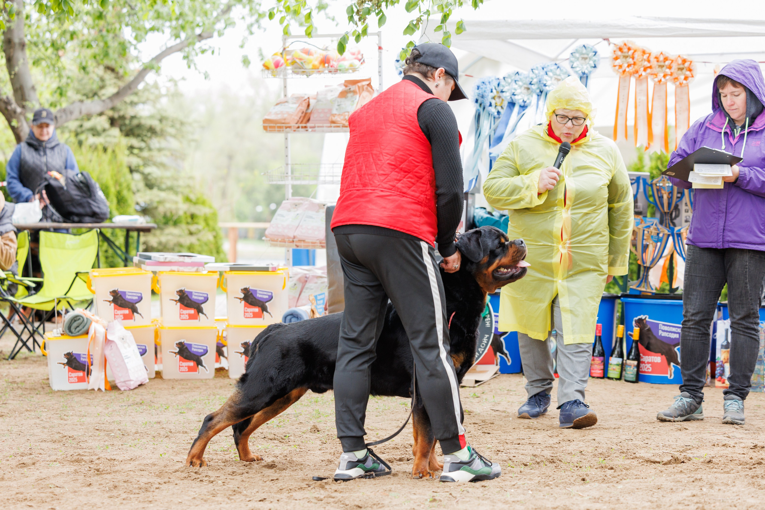 Саратов моно ротвейлеров 26-27.04.2025. Фотограф-анималист Юлия Германика