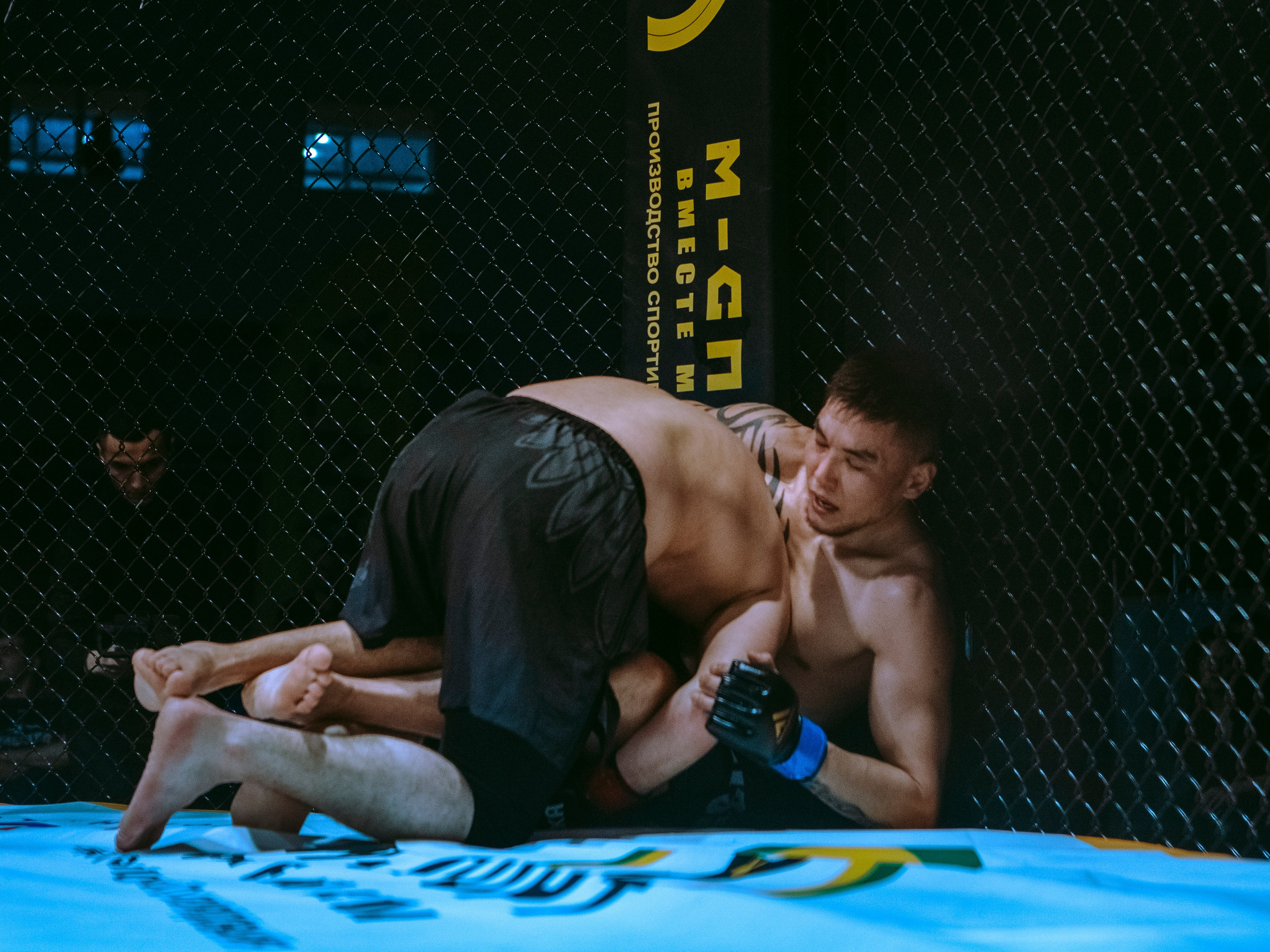 SFL 17 | Siberian Fighting League. Портретный фотограф в Москве Дарья Цезария