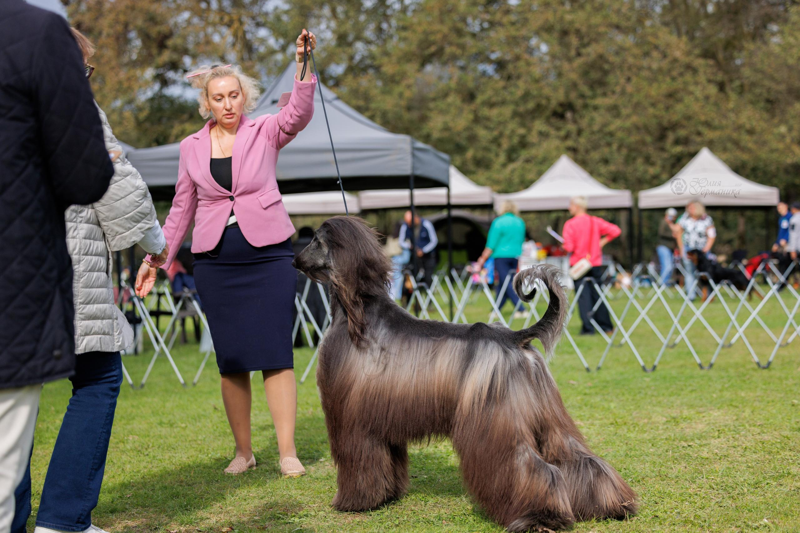 Туция,Стамбул 2хCACIB 26-27.10.24. Фотограф-анималист Юлия Германика