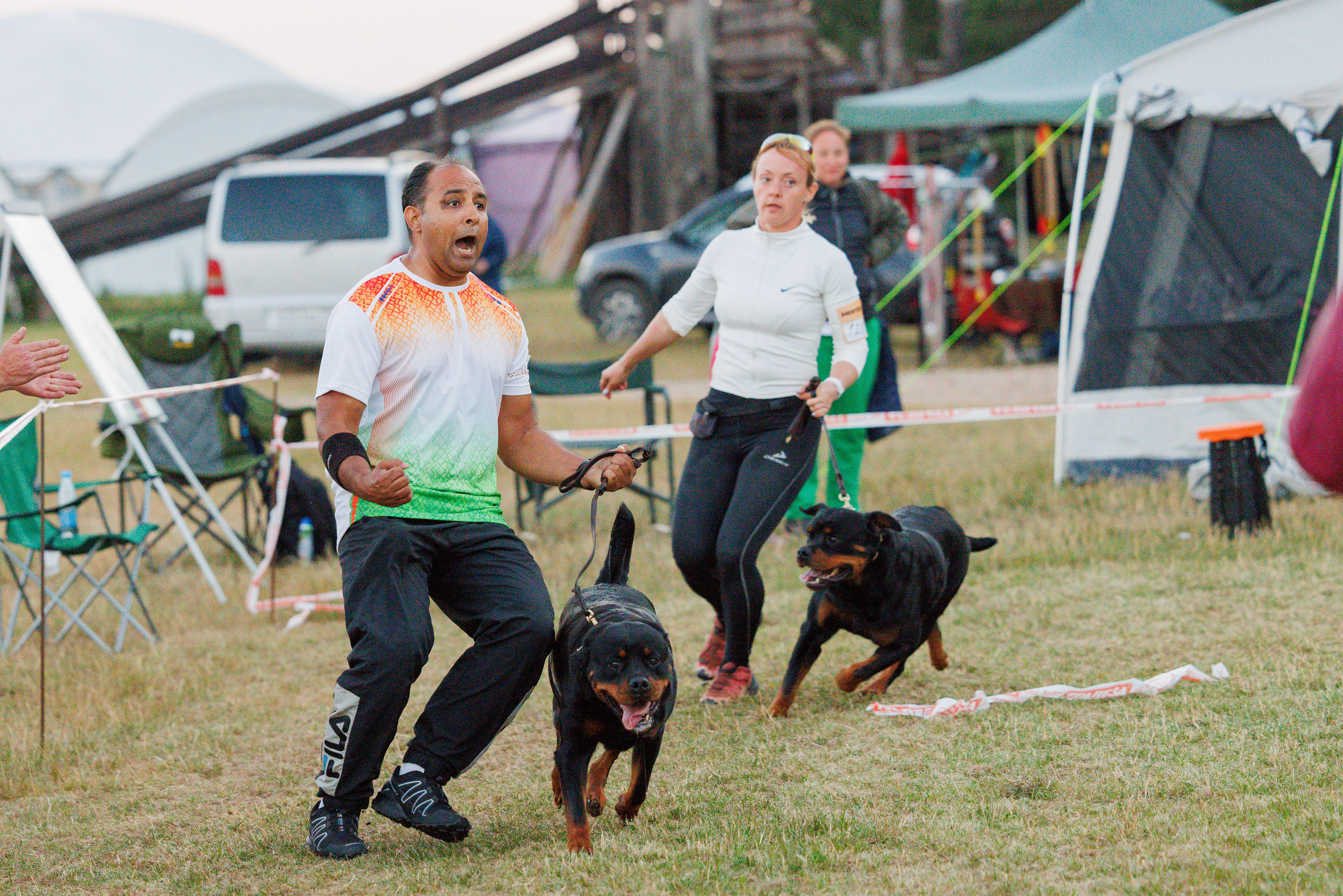 ПК и КЧК ротвейлеры Тверь 6-7.07.2024. Фотограф-анималист Юлия Германика