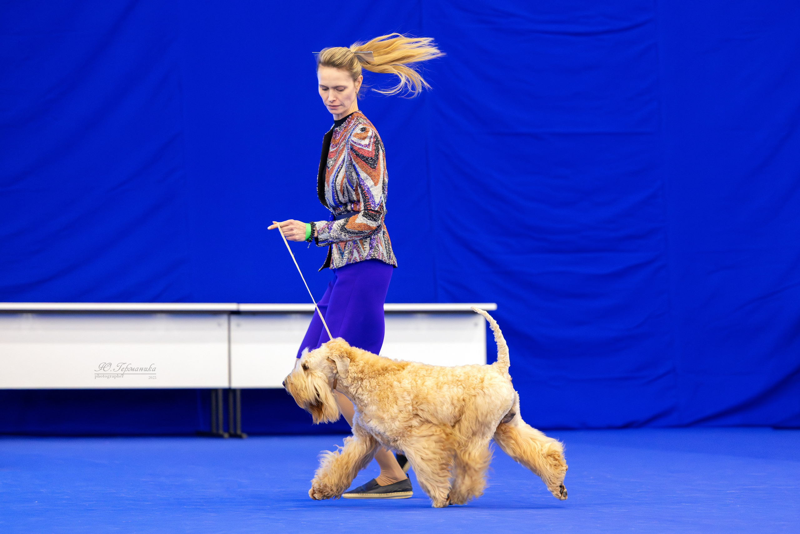 Питер 12-13.12.2025. Фотограф-анималист Юлия Германика