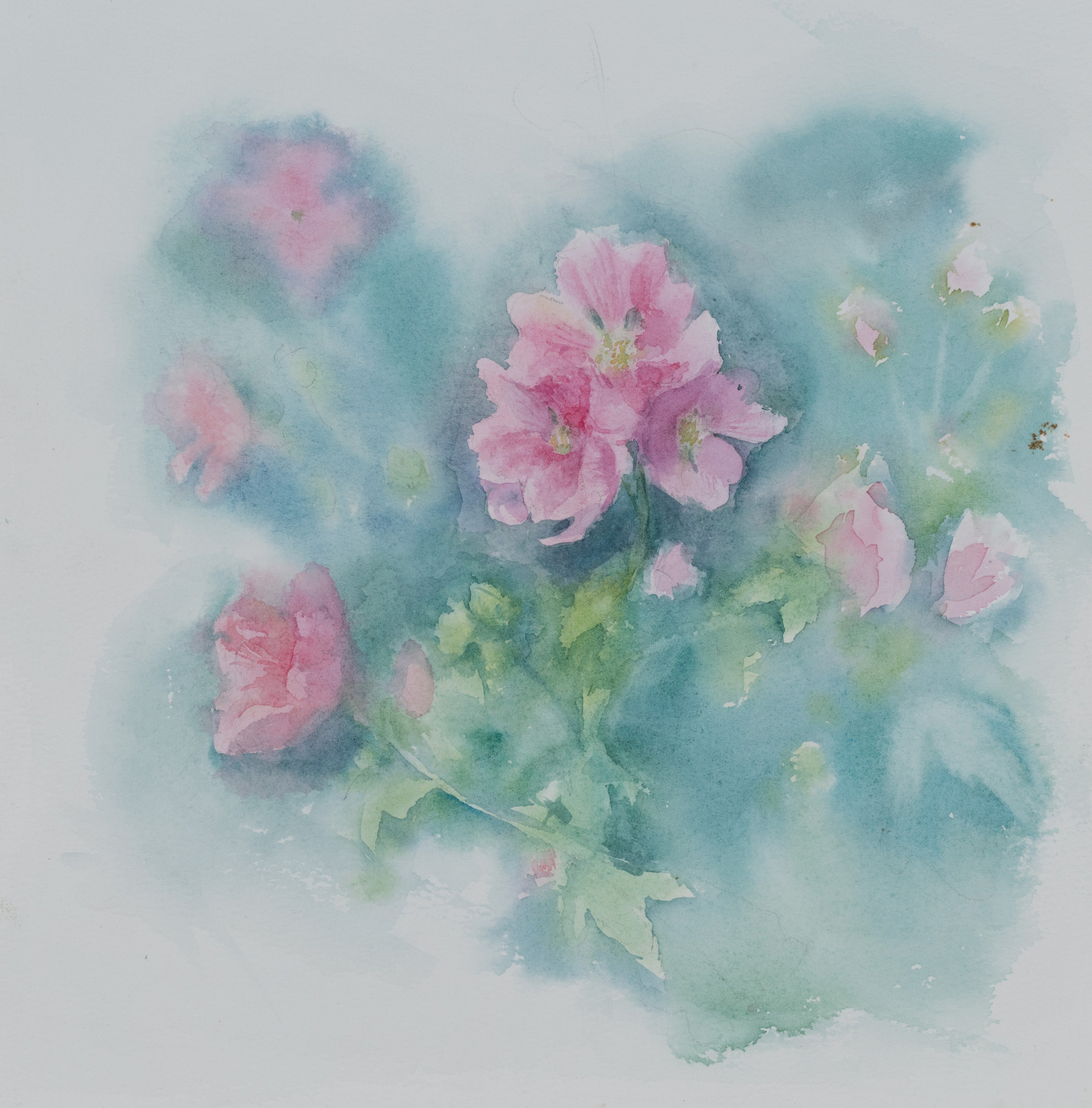 "Мальвы" 35 х 35см. 2022г.