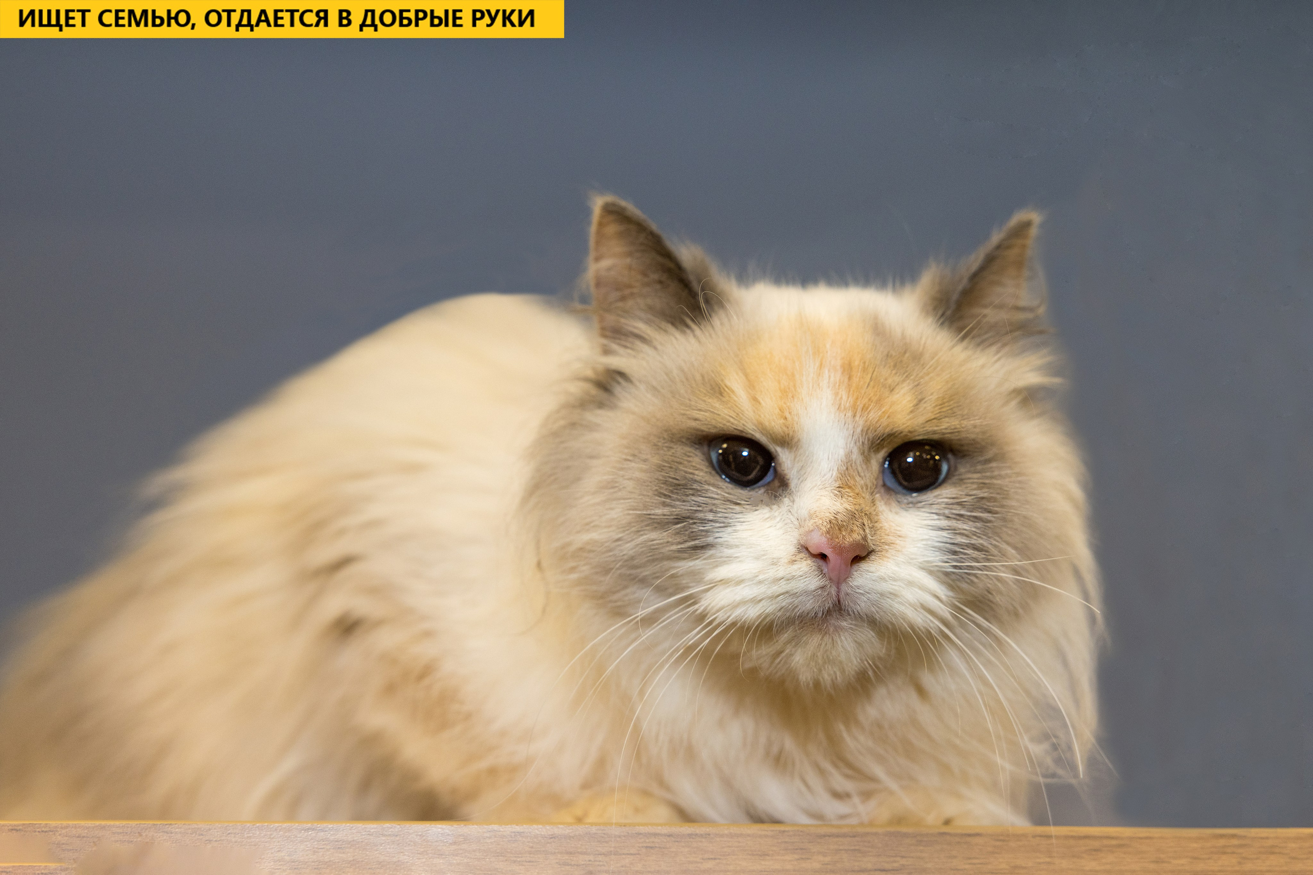 Рекламная съемка в Москве. Геннадий Степанов —фотограф в Москве