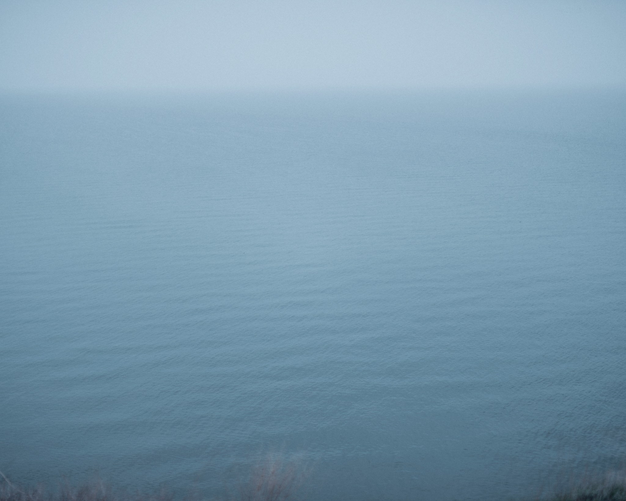 No title. Андрей Сливенко. Свадебный фотограф и видеограф в Волгодонске и Ростове-на-Дону