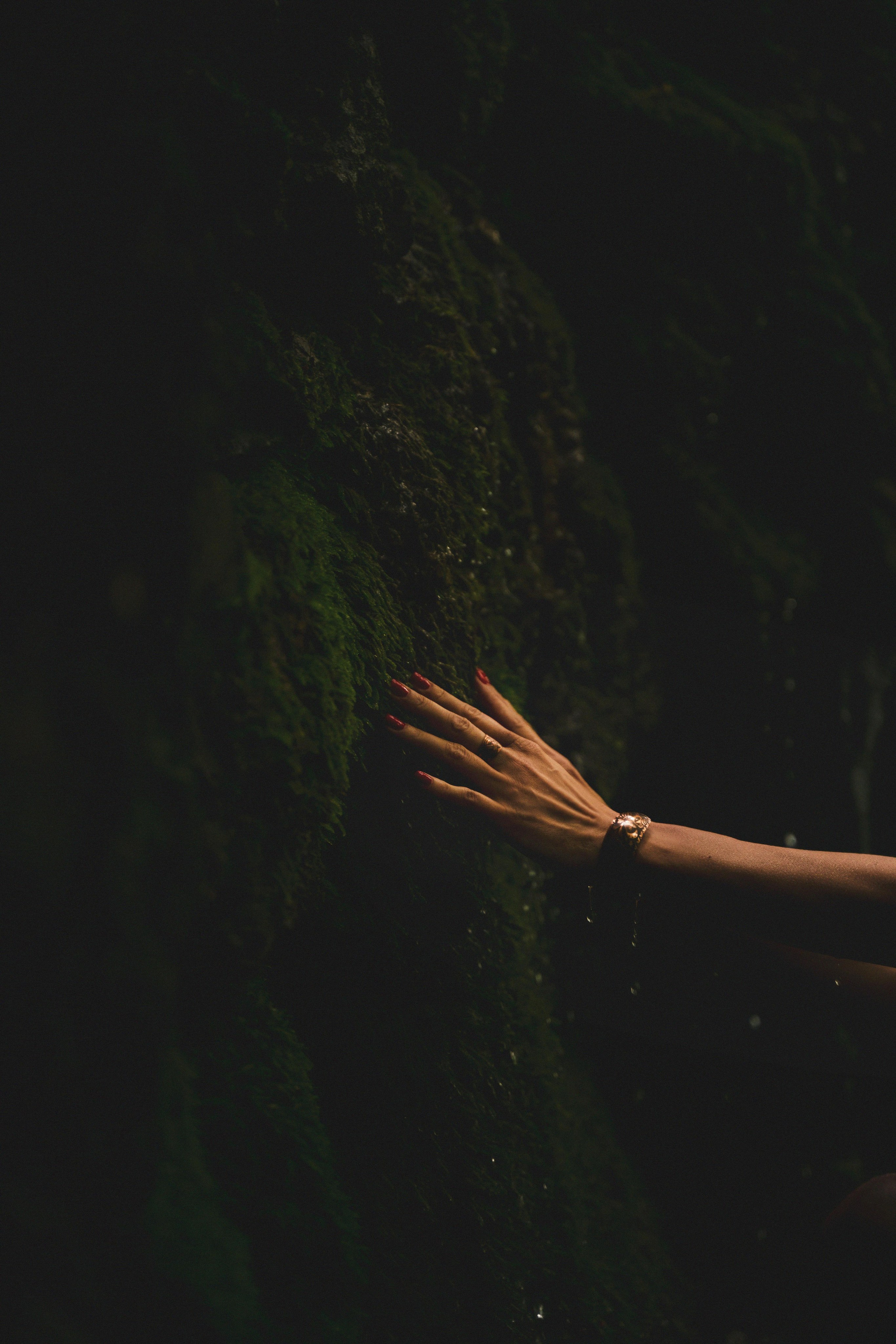 Горное озеро. Семен Соколов