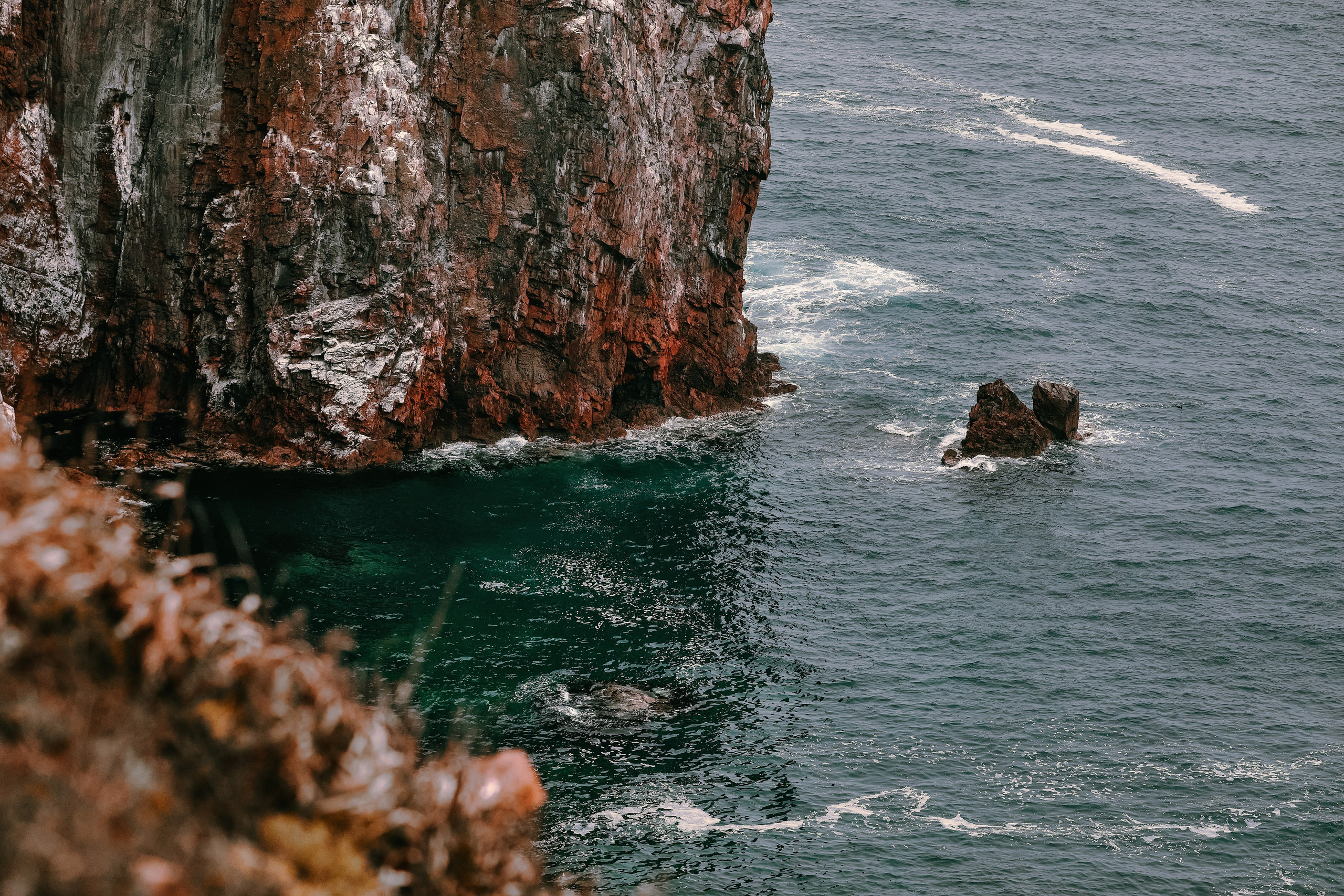 Морской пейзаж с вершины острова Шкота в Приморье