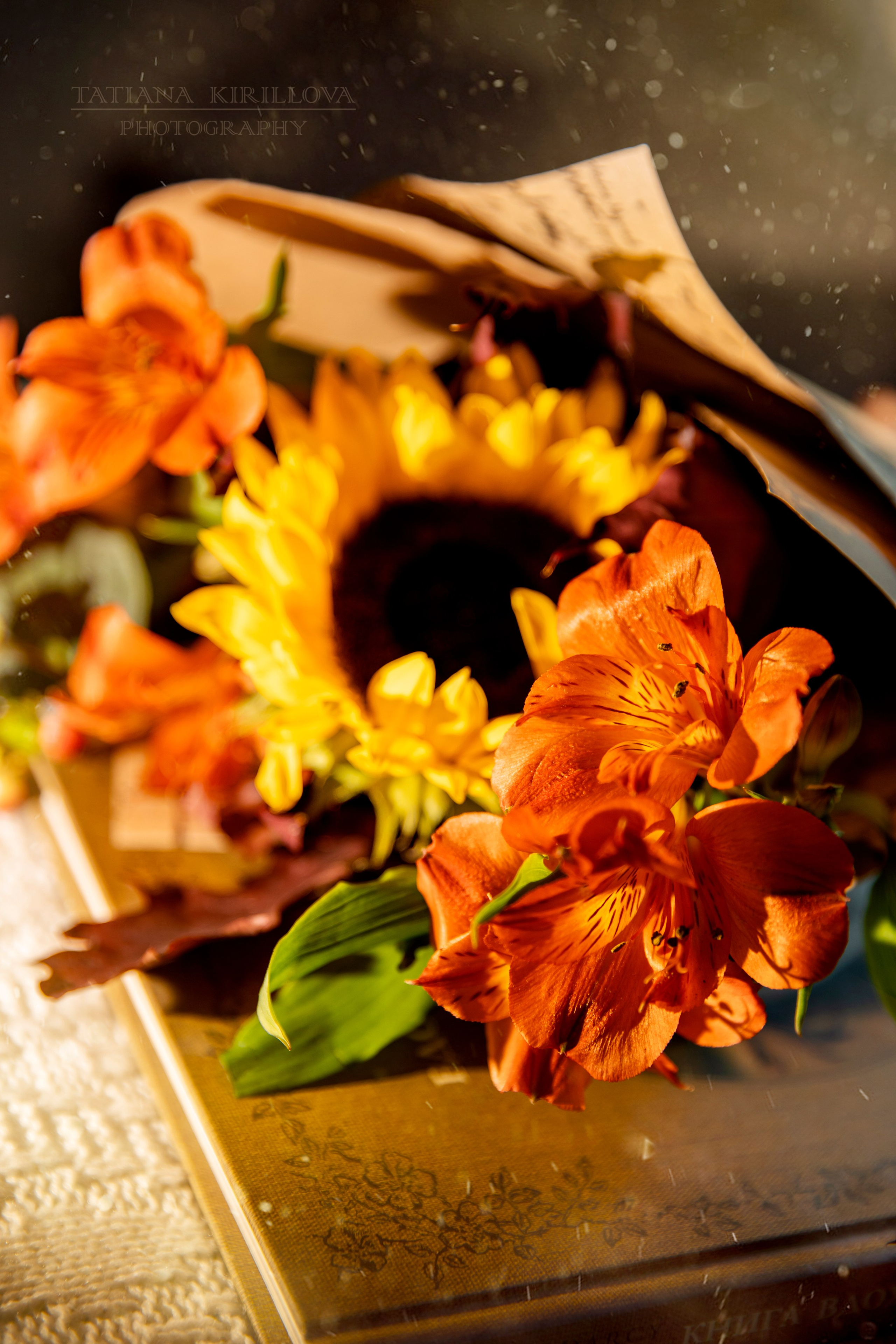 Предметная съемка, цветы, открытки. Фотограф — Татьяна Кириллова, г. Санкт-Петербург