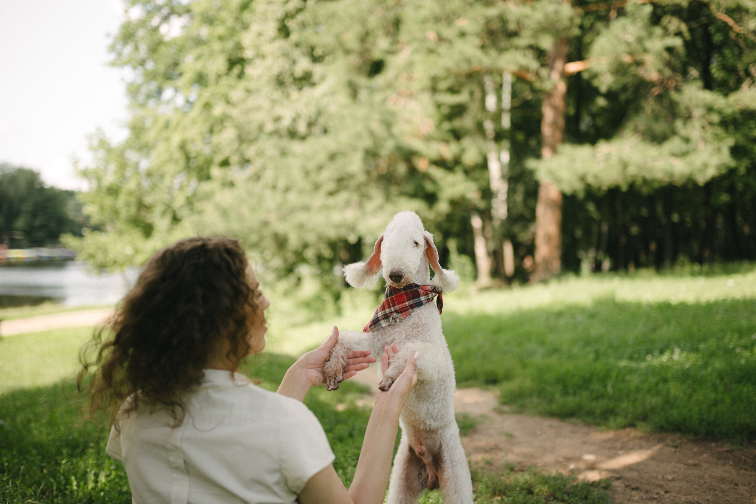 Лиза и Каспер. Фотограф анималист в Москве Ольга Агушева