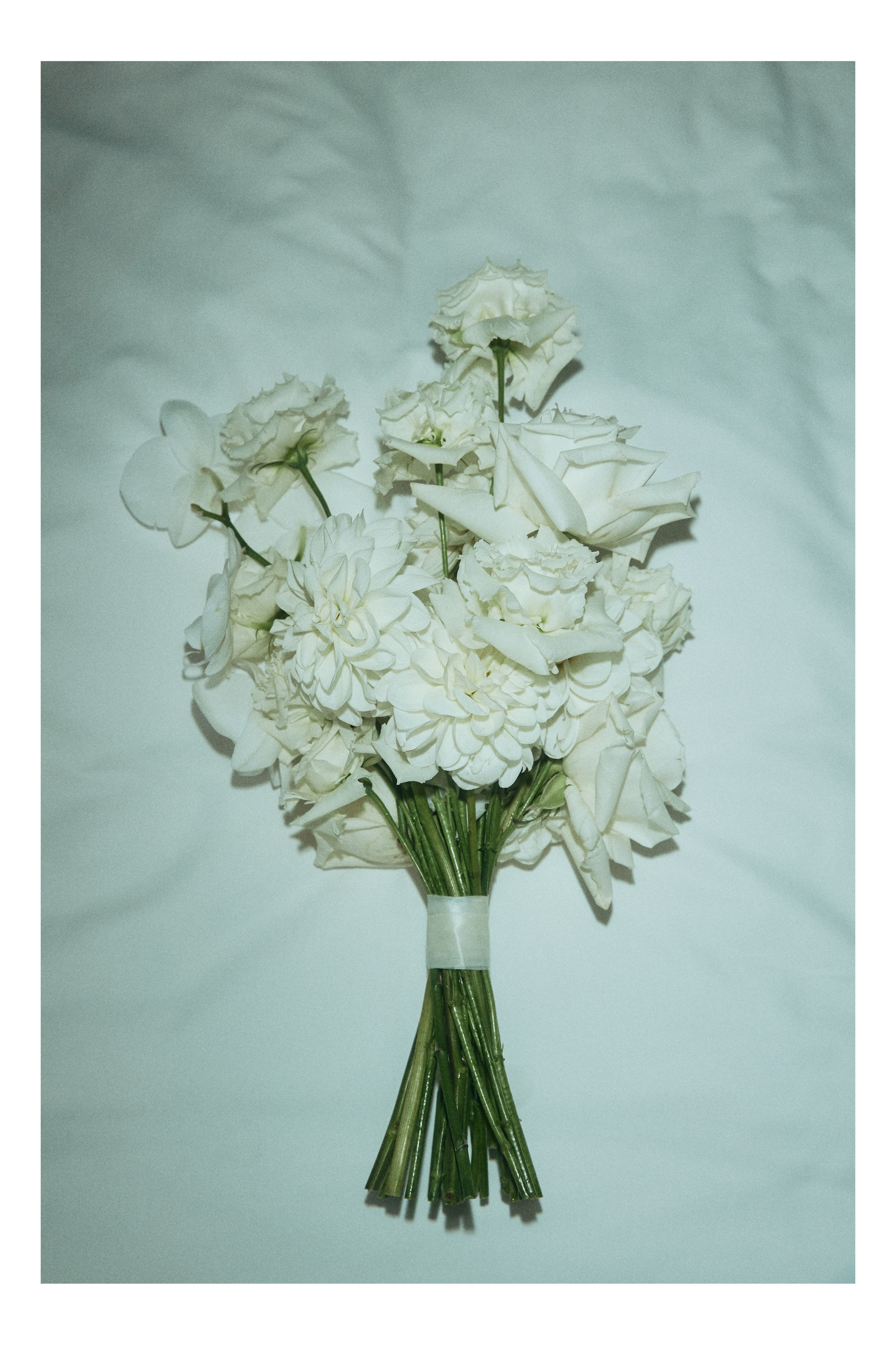 A NEW FAMILY TREE. Дмитрий Мазуркевич: Профессиональный Репортажный Фотограф