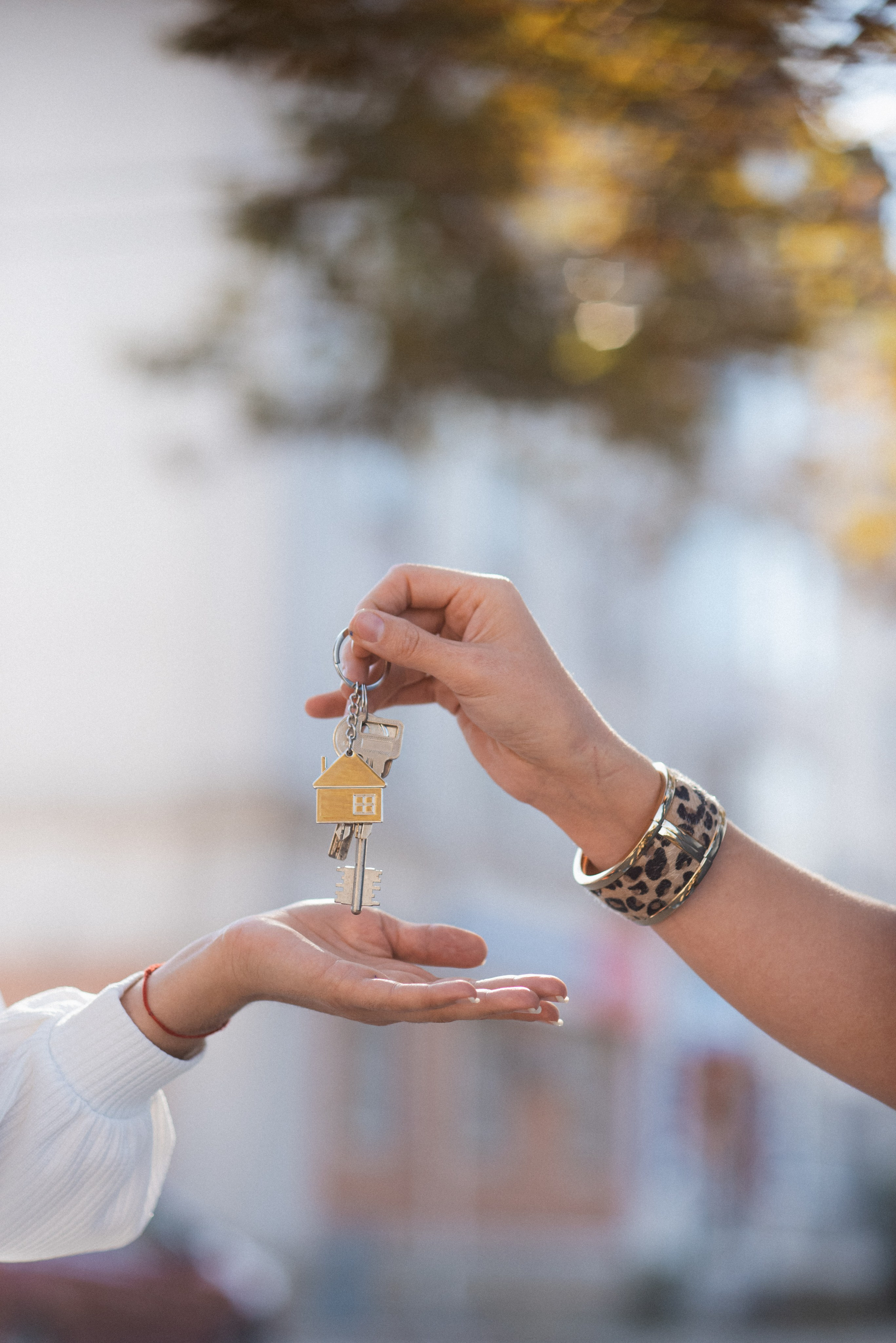 Контент Съемка. Фотограф|КРЫМ| Владимир Комок