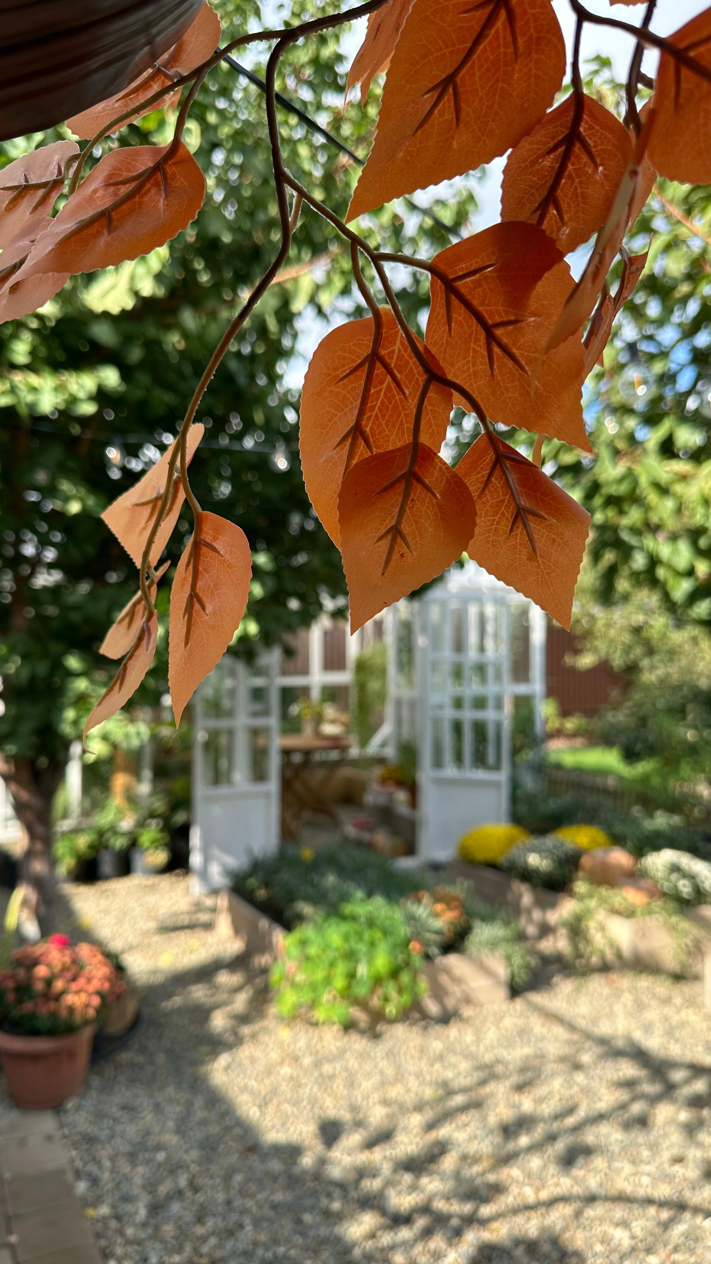 Осенние декорации фотостудии «ТЕПЛИЦА», город Краснодар. Семейный и детский фотограф в Краснодаре Анна Трашкова