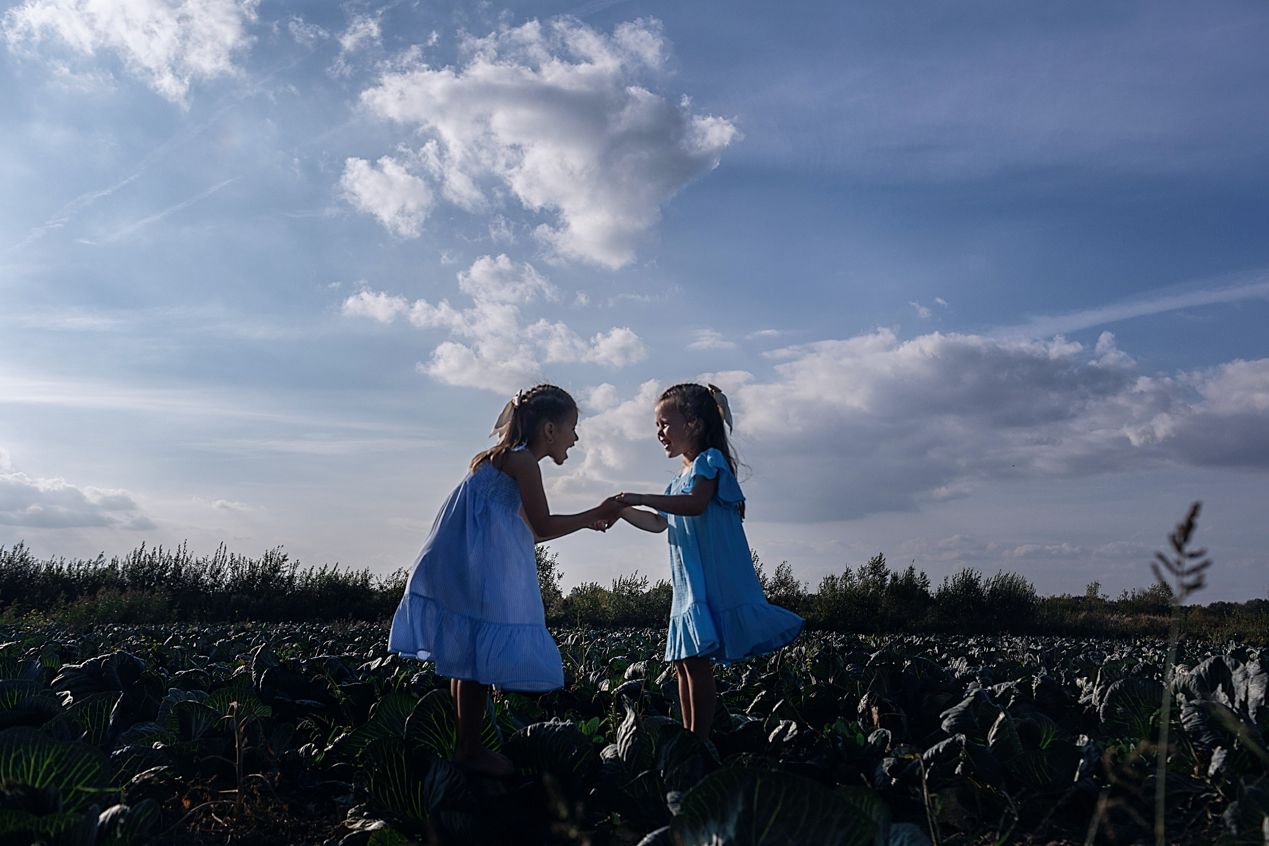 Капустное поле_Ленинградская область. Семейный фотограф в Санкт-Петербурге