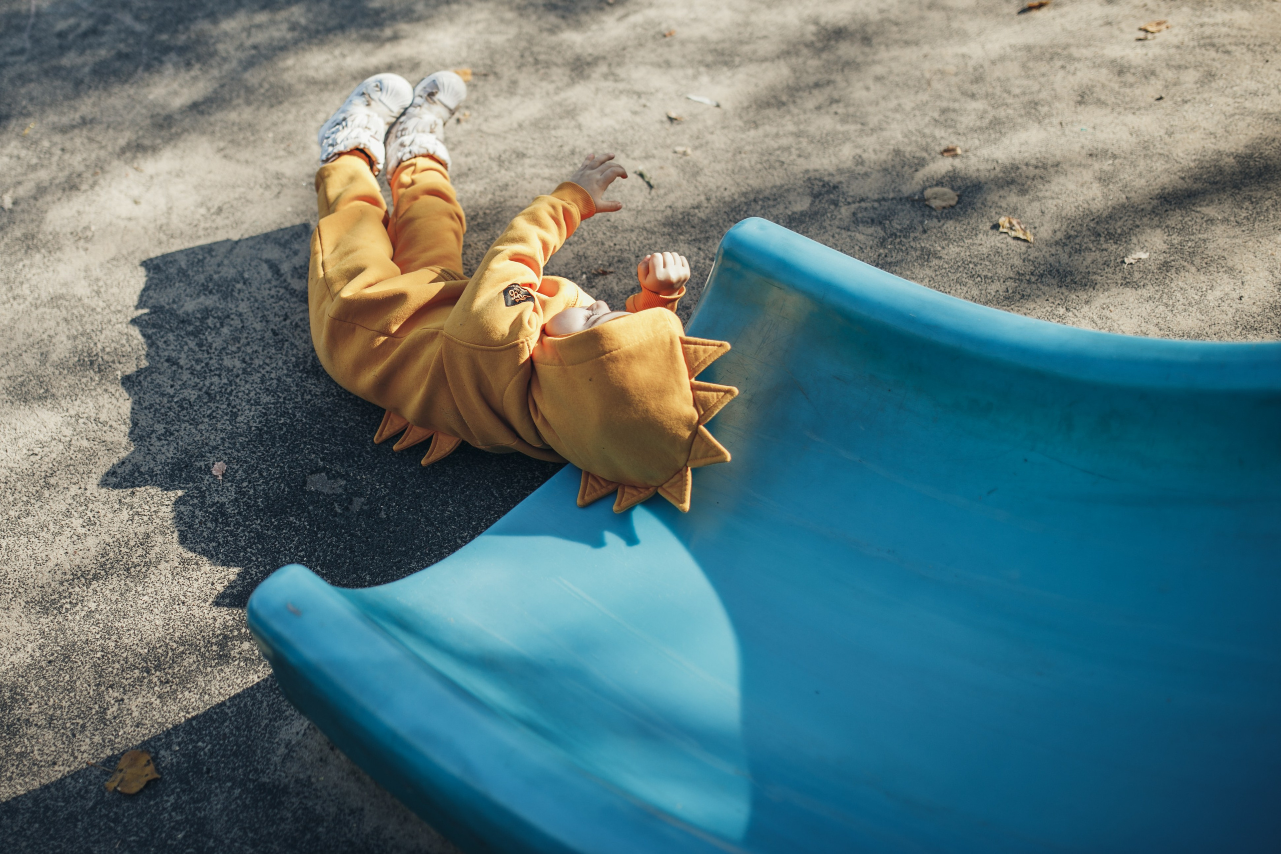 КОГДА ДЕРЕВЬЯ БЫЛИ БОЛЬШИМИ. Фотограф Лебедева Наталья