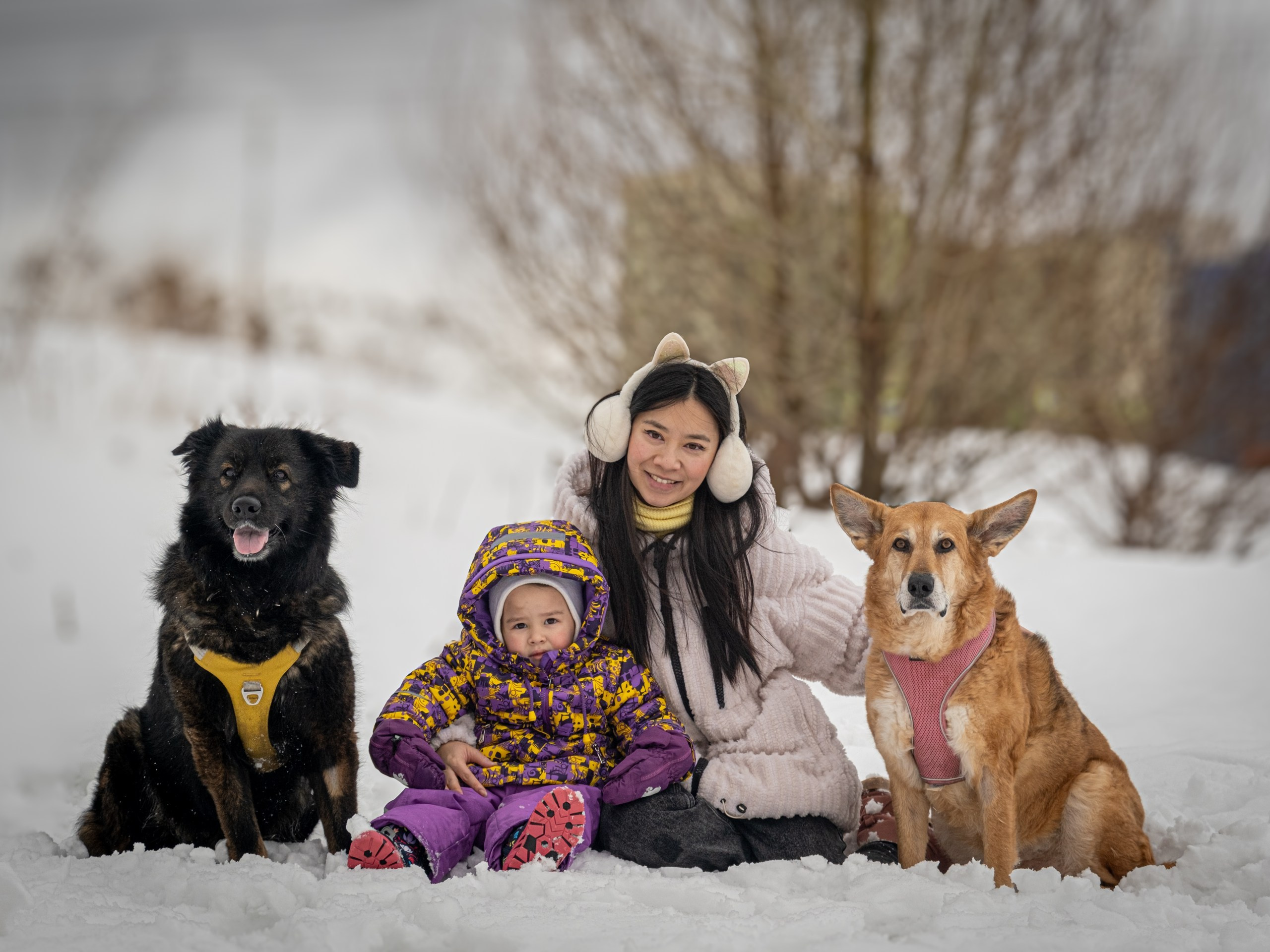Прекрасная семья Кирилла и Лилии!. Зоофотограф, фотограф животных в Москве и области Дина Дамоцева