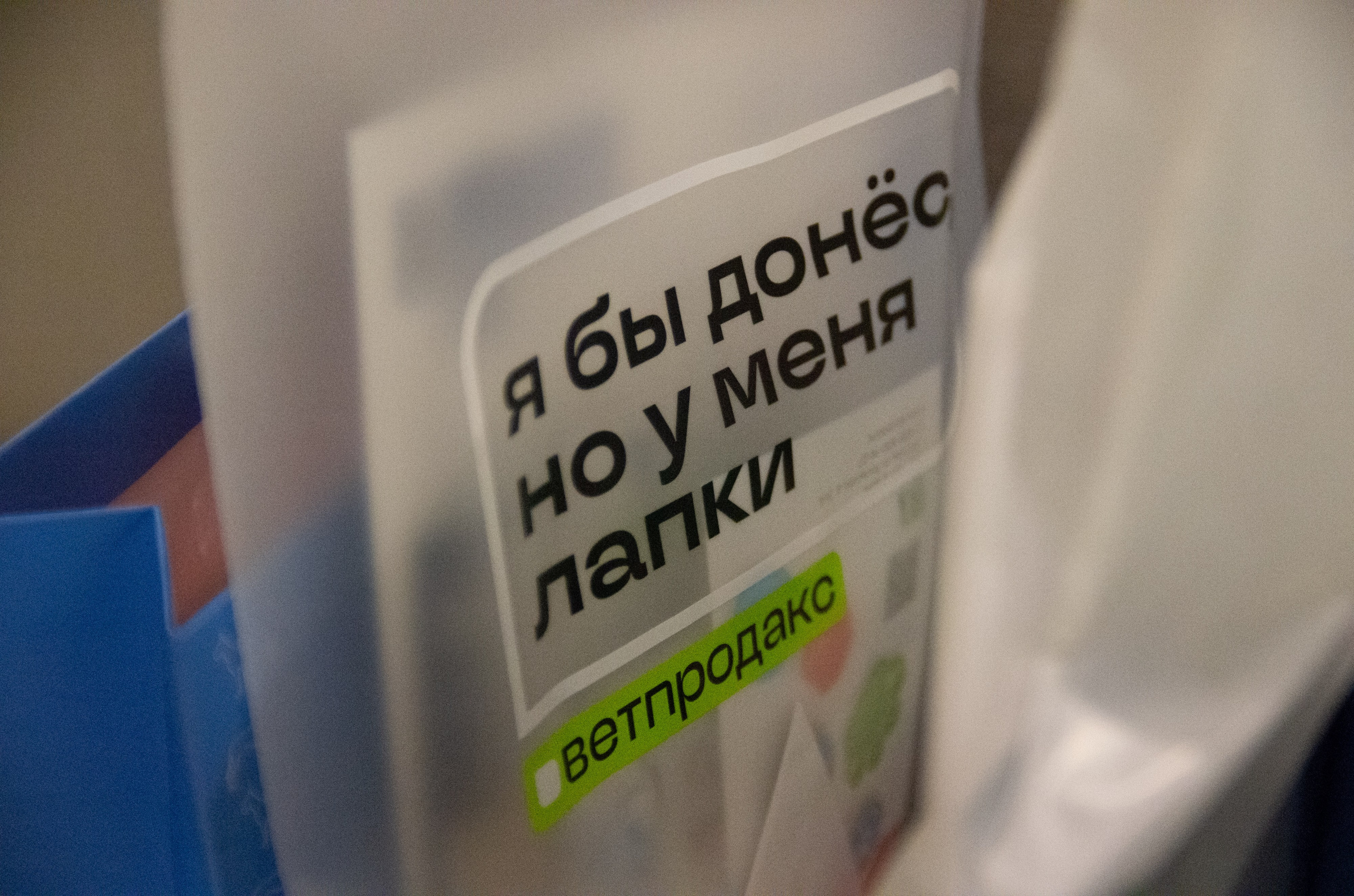 VIII Карельская ветеринарная конференция. Портретный фотограф Денис Милютин