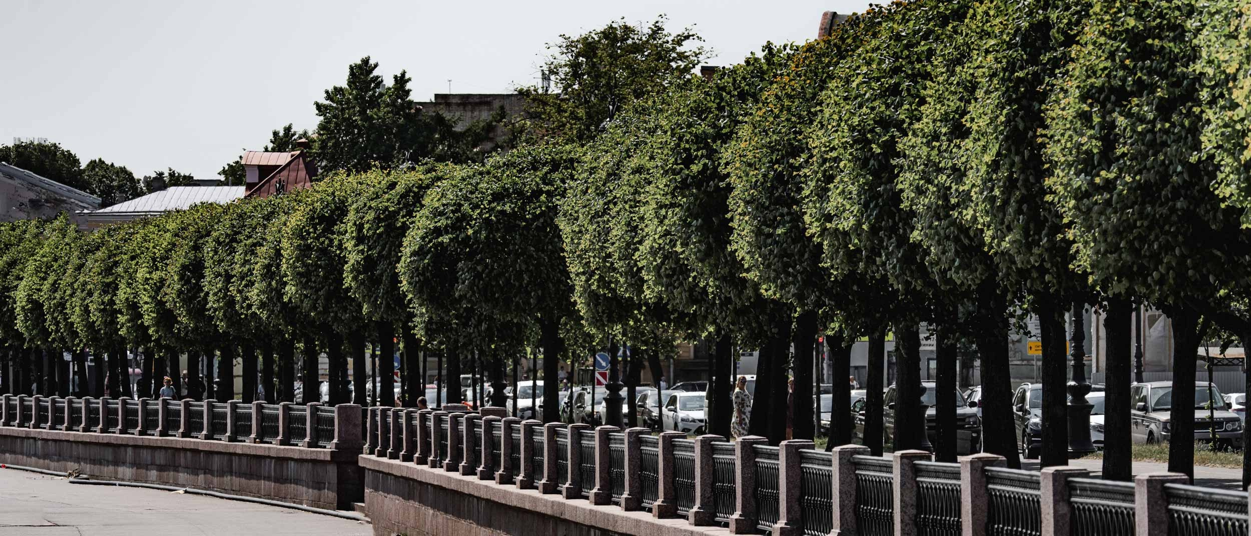 Saint Petersburg. The Andris