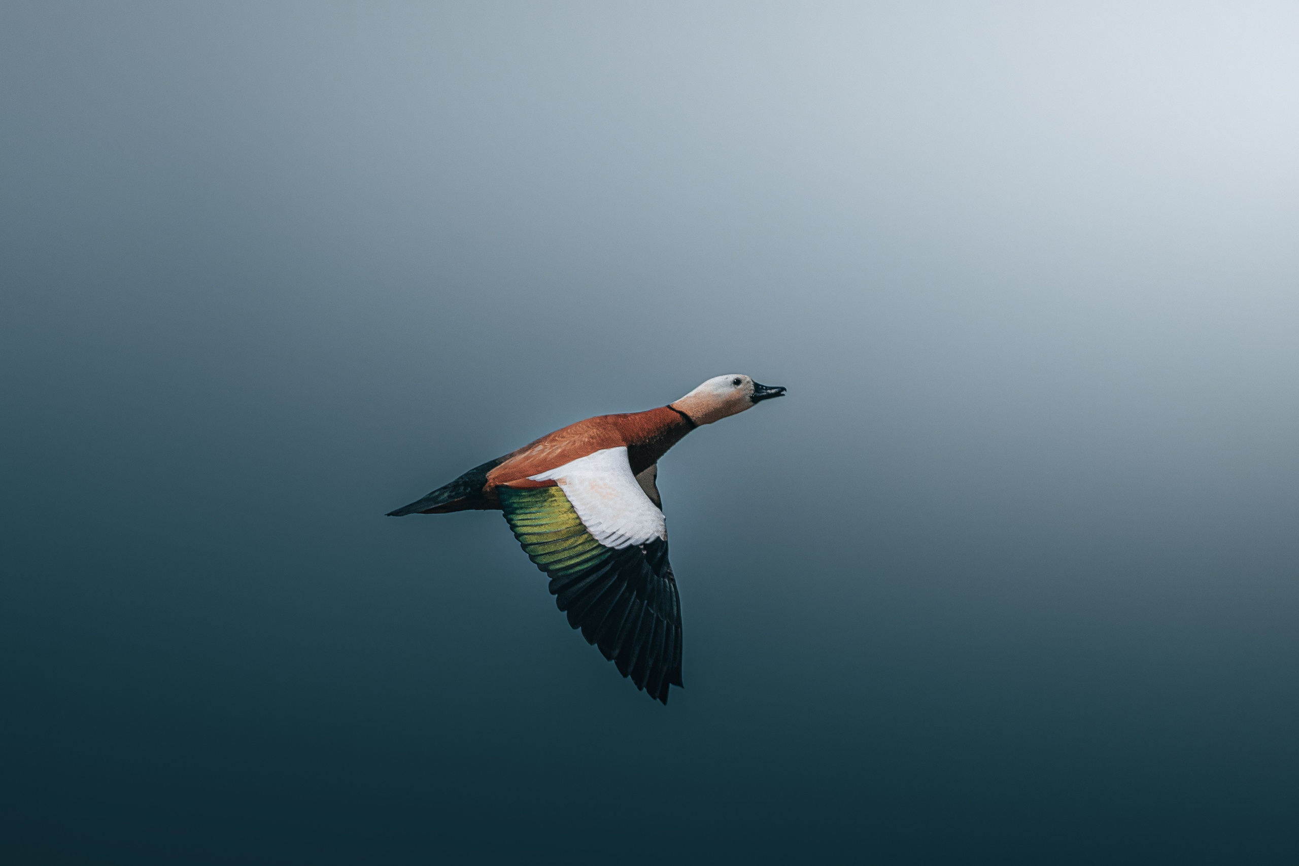 Астраханская область 2025 | Фотограф Дмитрий Купрацевич. Дмитрий Купрацевич профессиональный пейзажный и travel-фотограф