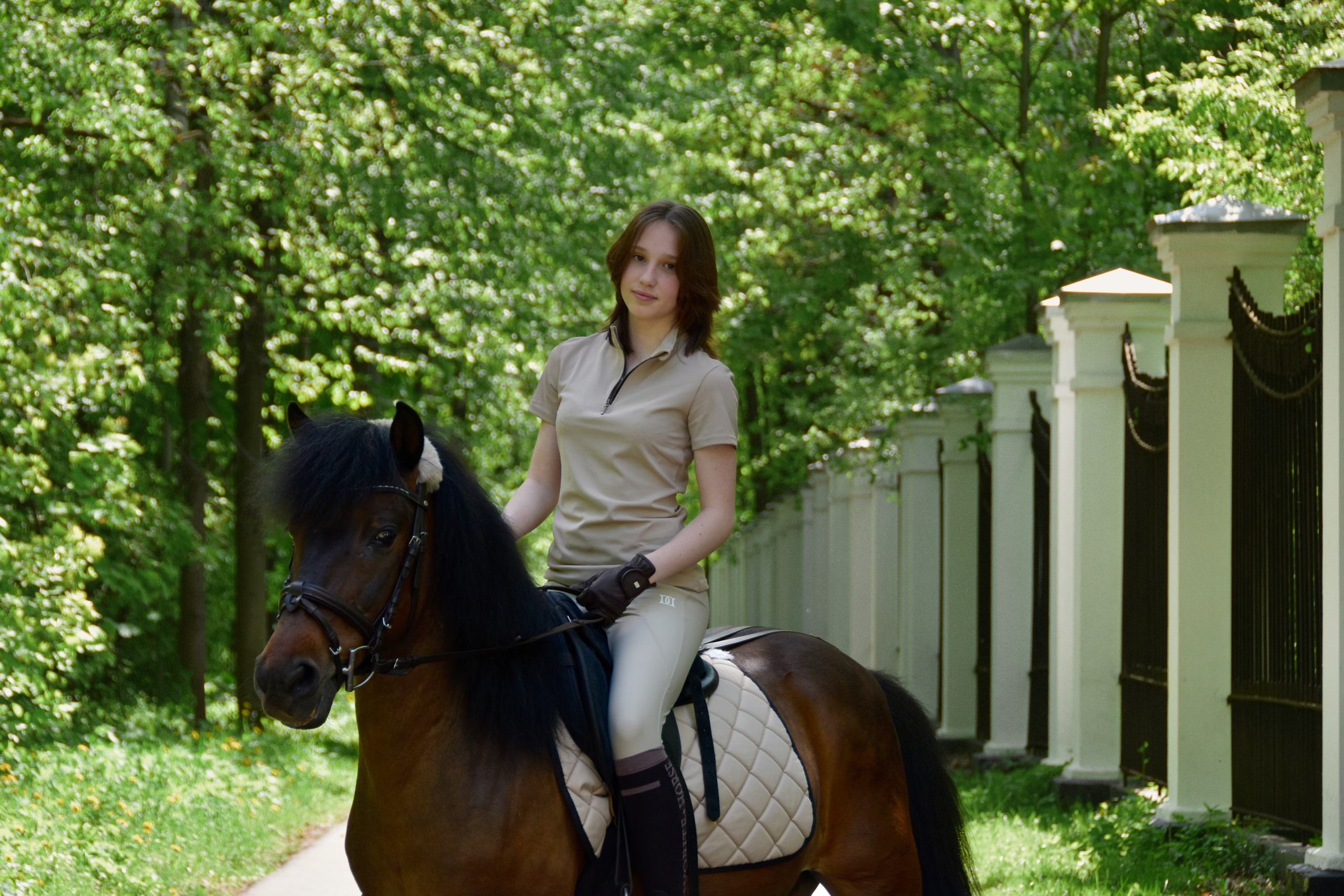 Александра и Капрал (клеппер). Конный фотограф Москва