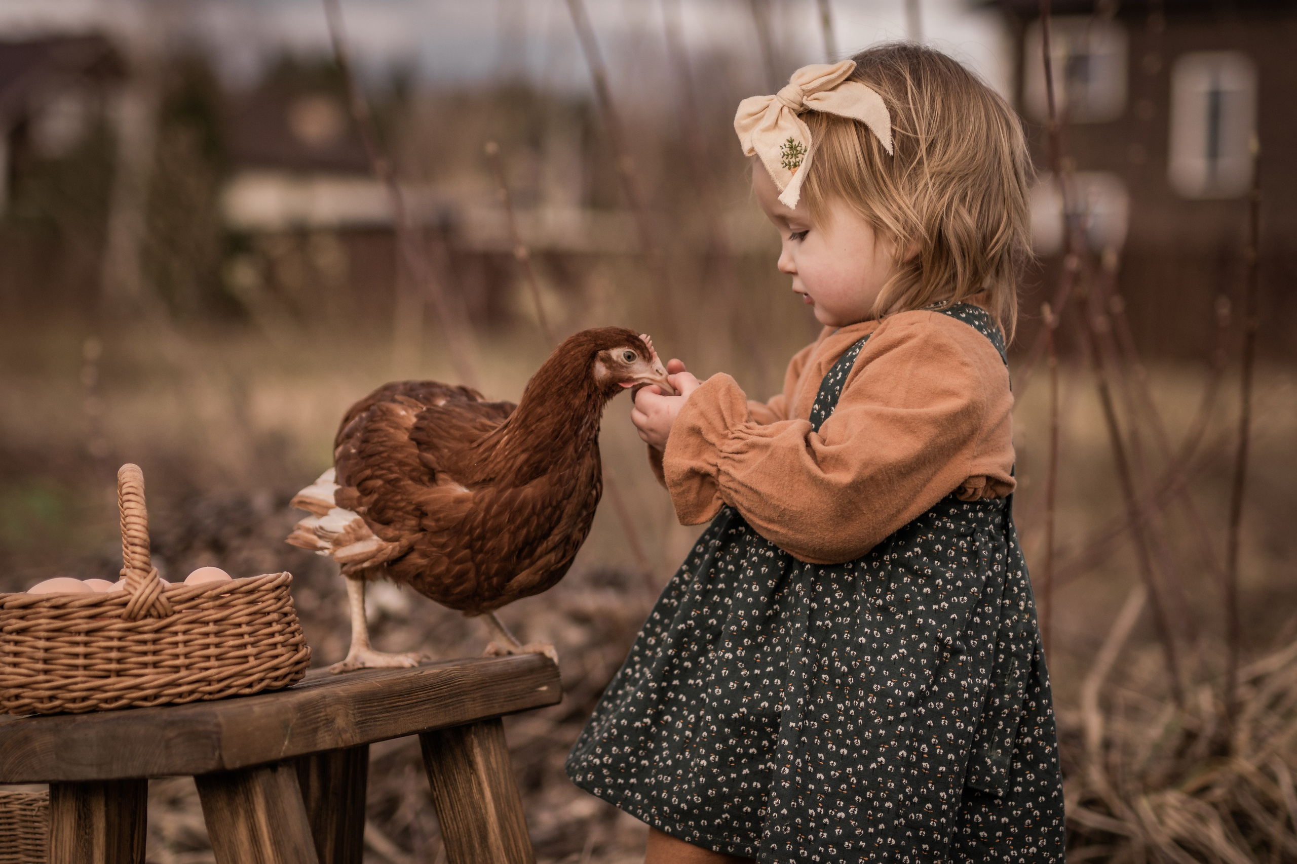 Куриная история. Семейный фотограф Ефремова Виктория