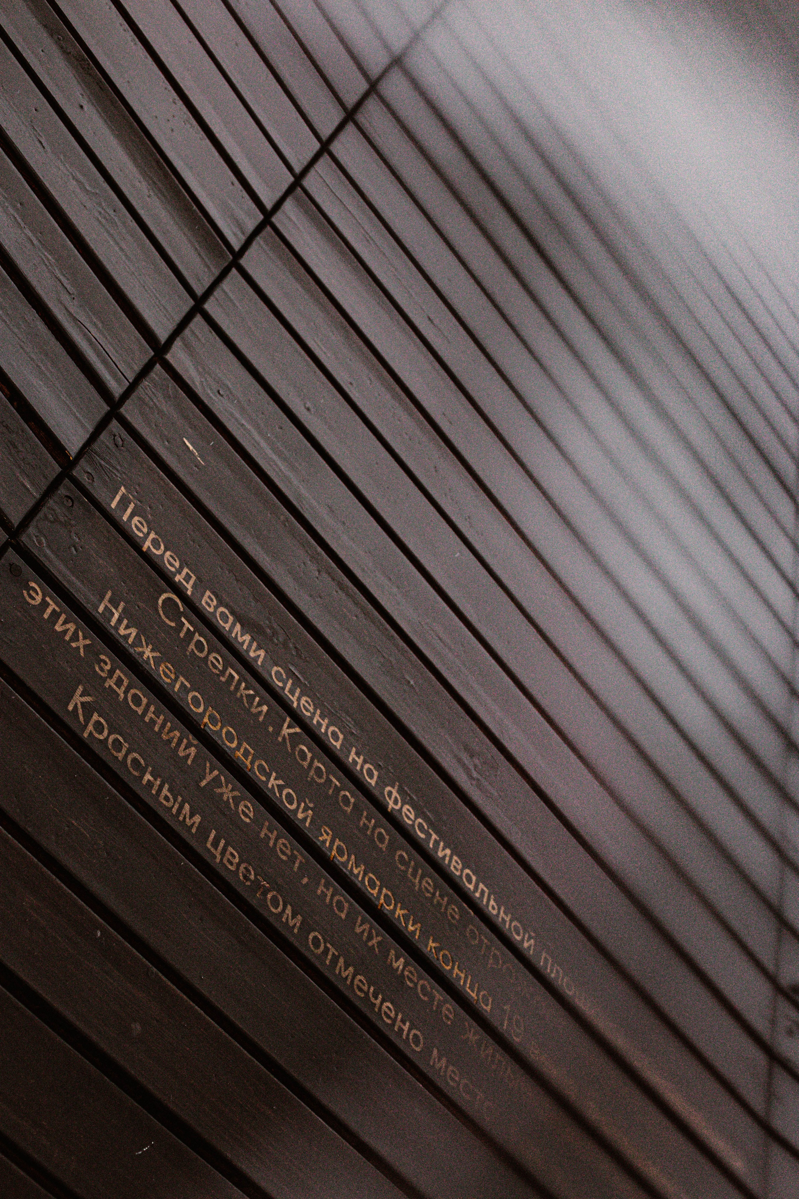 Руслан в малине. Фотограф в Нижнем Новгороде