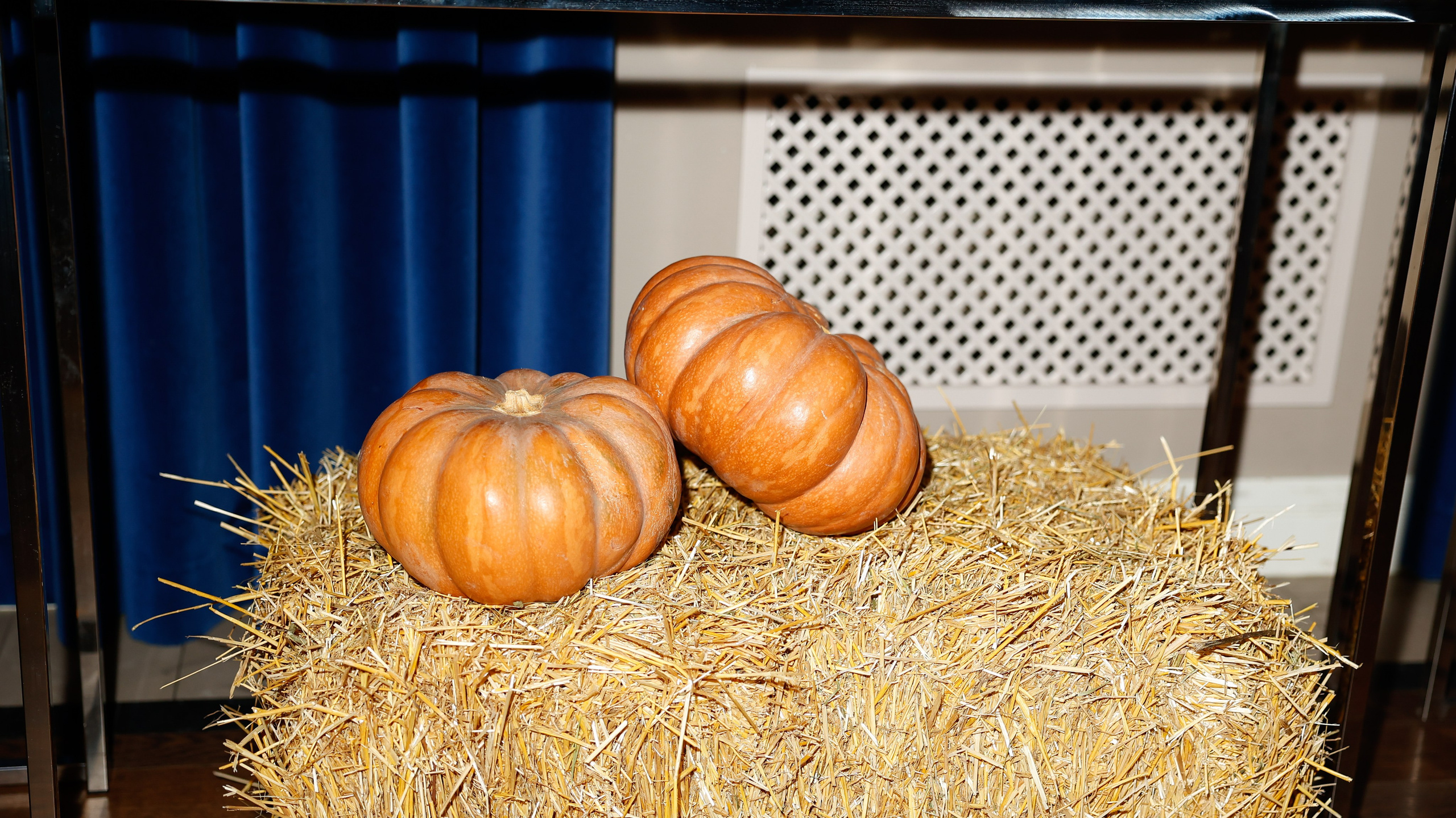 ХВИЧА. Nikolskayasecular