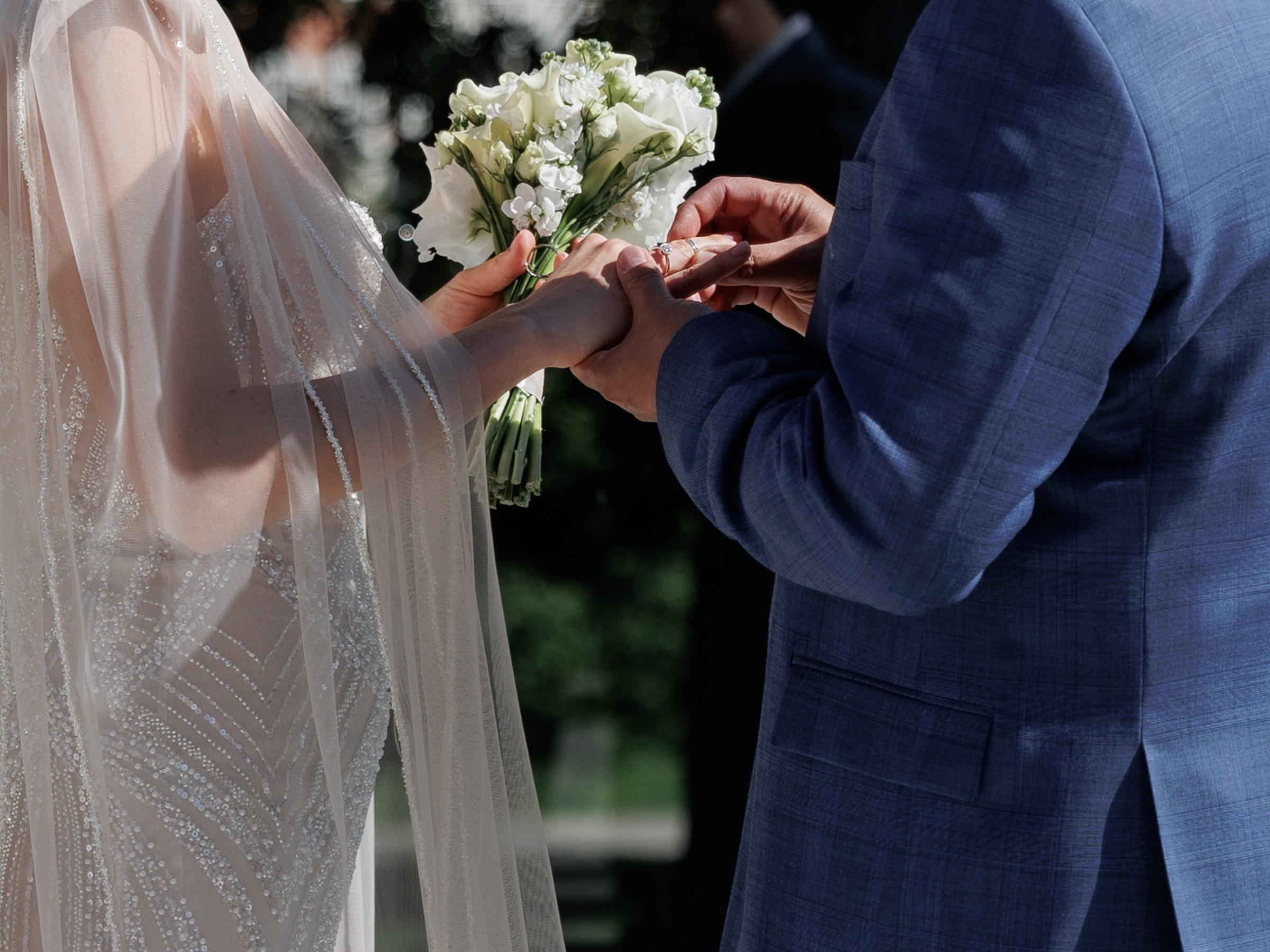 «Семейное древо». Свадебный и семейный фотограф в Калининграде Ольга Мешечкова