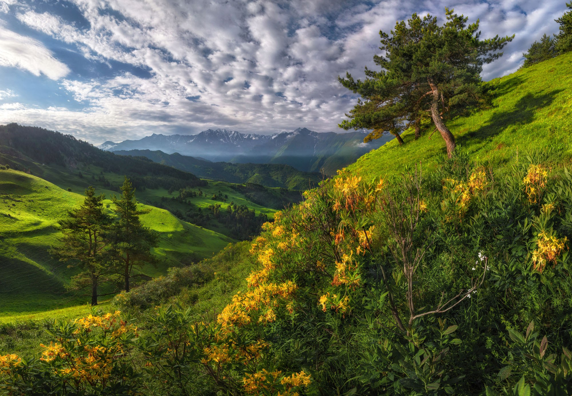 Фотографии Ингушетия